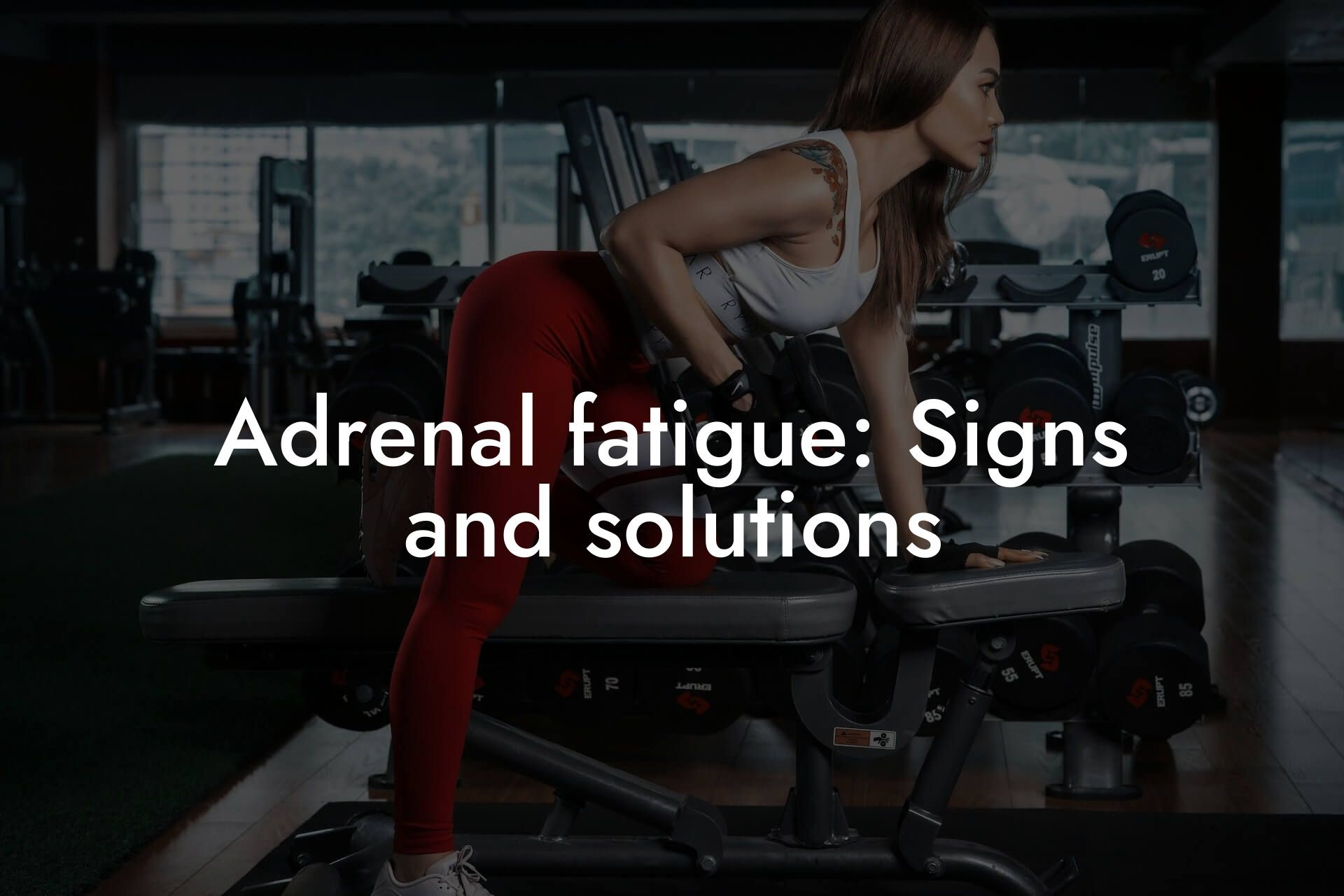 adrenal fatigue signs and solutions tano performance dexa scanners body composition testing