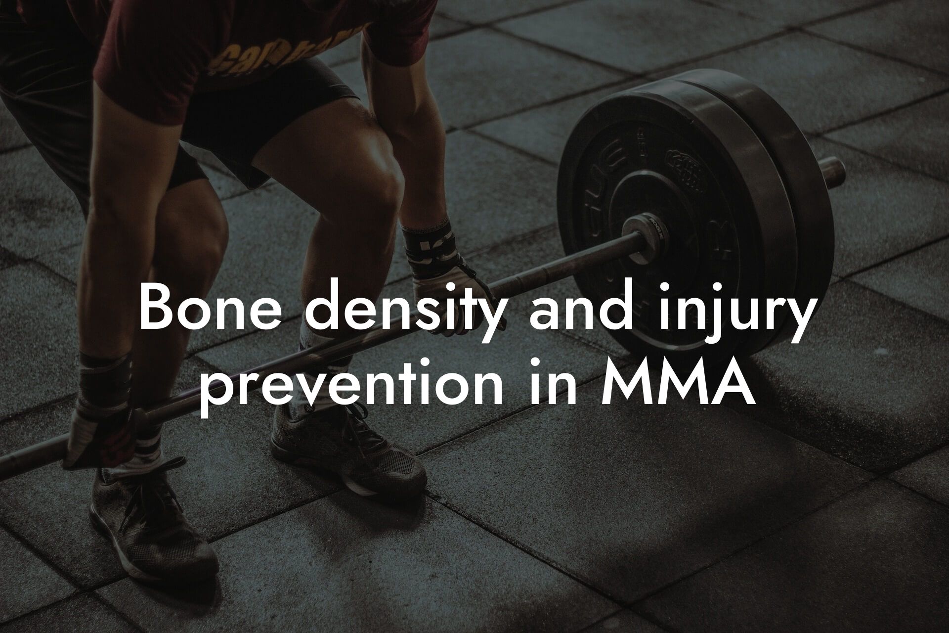 bone density and injury prevention in mma tano performance dexa scanners body composition testing