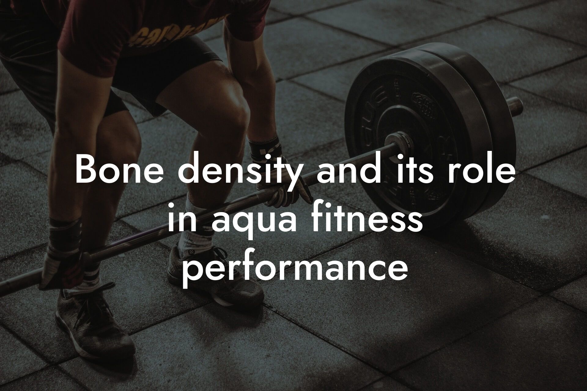 bone density and its role in aqua fitness performance tano performance dexa scanners body composition testing