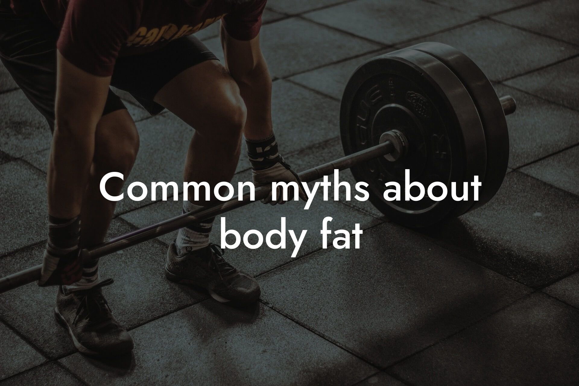 common myths about body fat tano performance dexa scanners body composition testing