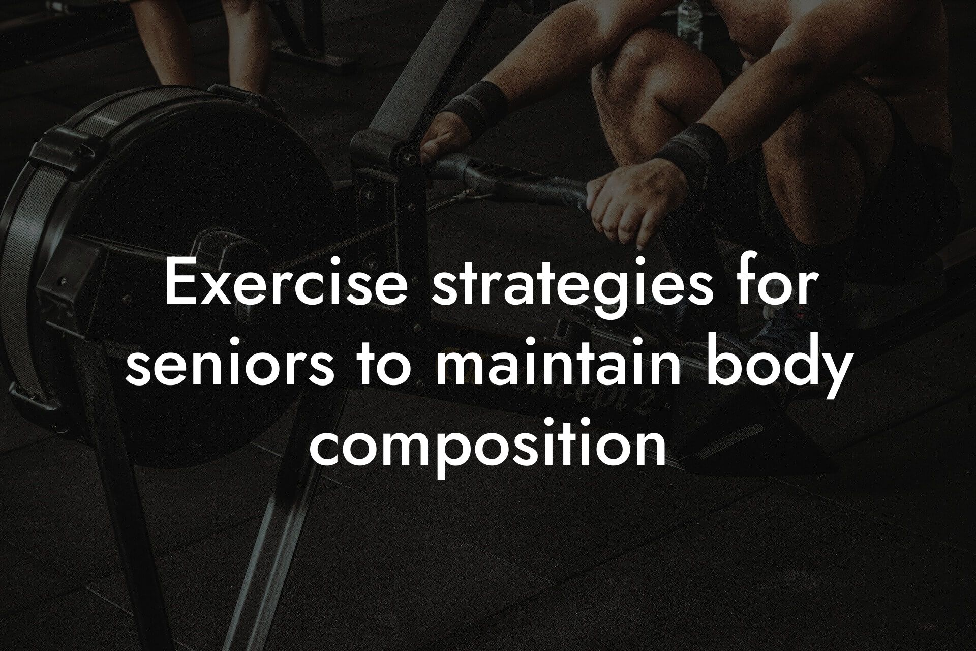 exercise strategies for seniors to maintain body composition tano performance dexa scanners body composition testing