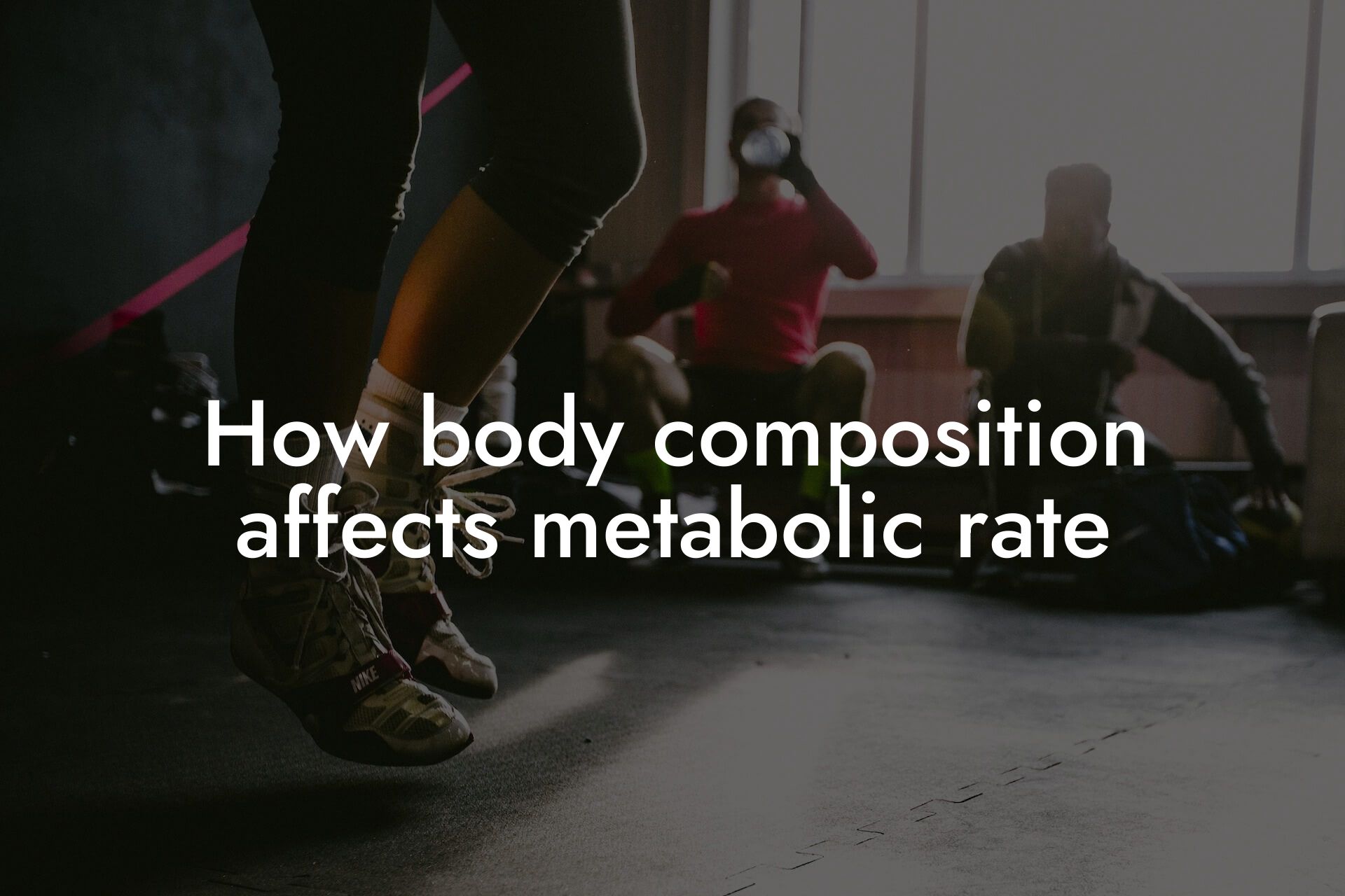 how body composition affects metabolic rate tano performance dexa scanners body composition testing