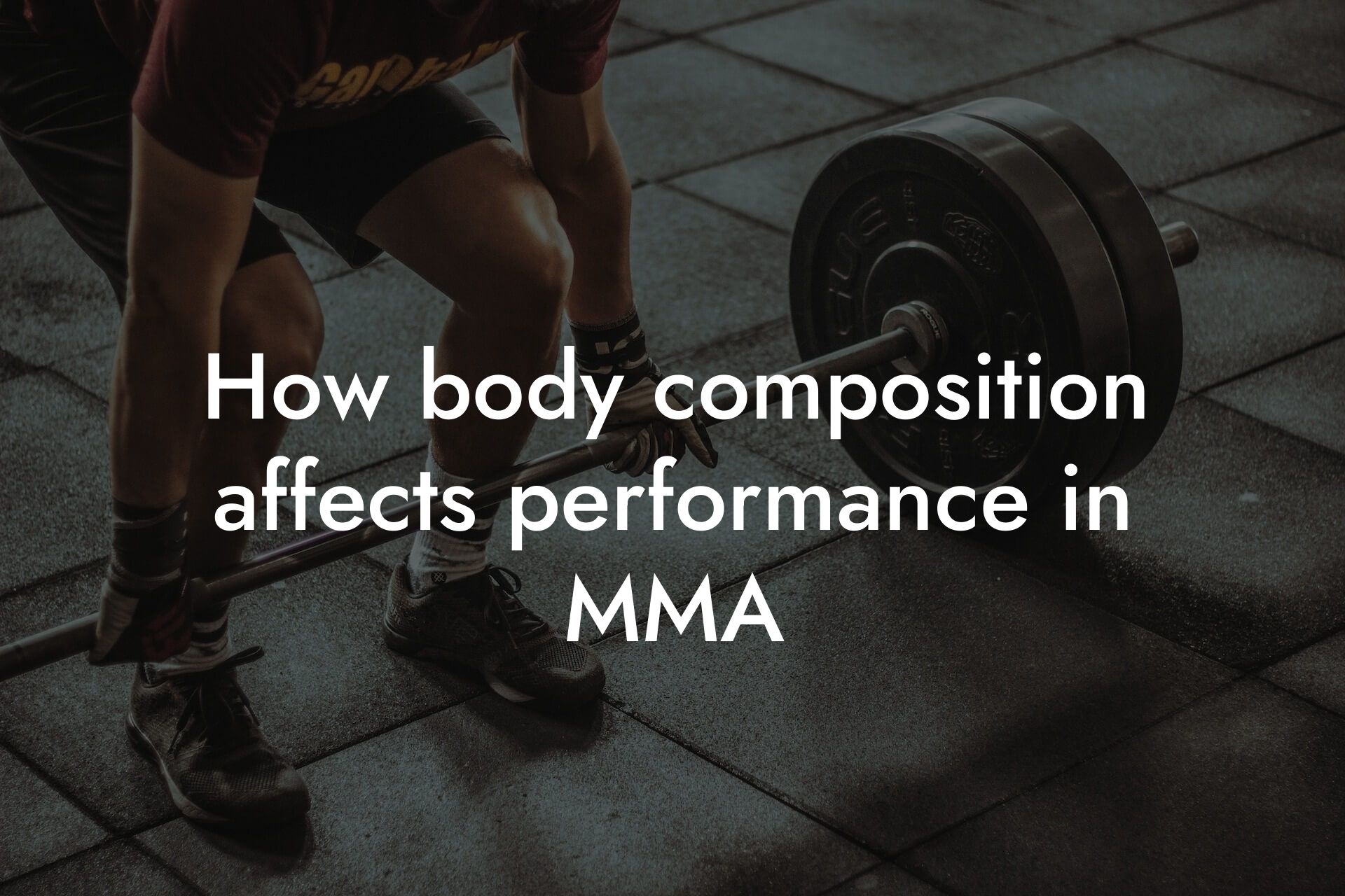 how body composition affects performance in mma tano performance dexa scanners body composition testing