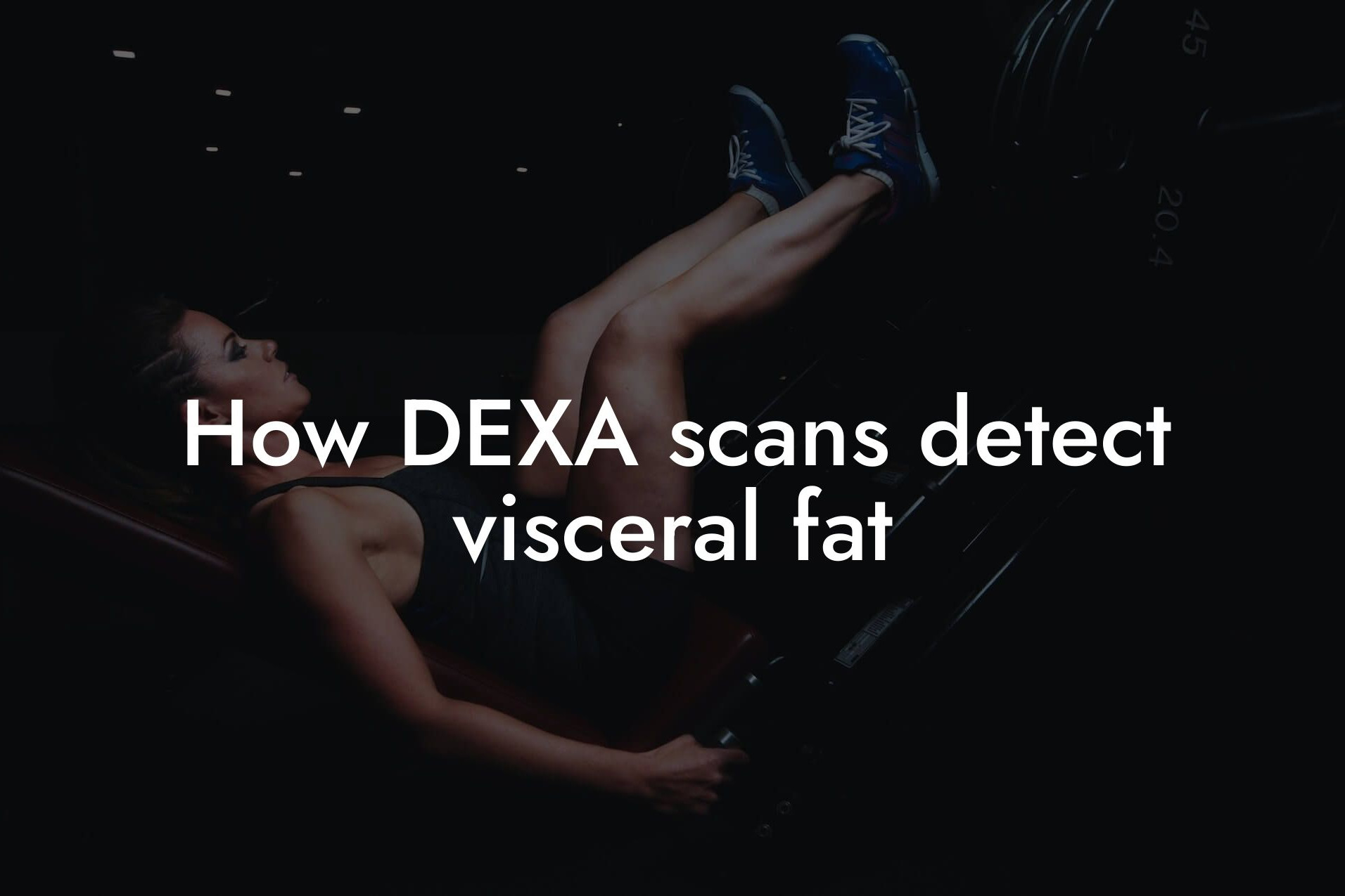 how dexa scans detect visceral fat tano performance dexa scanners body composition testing