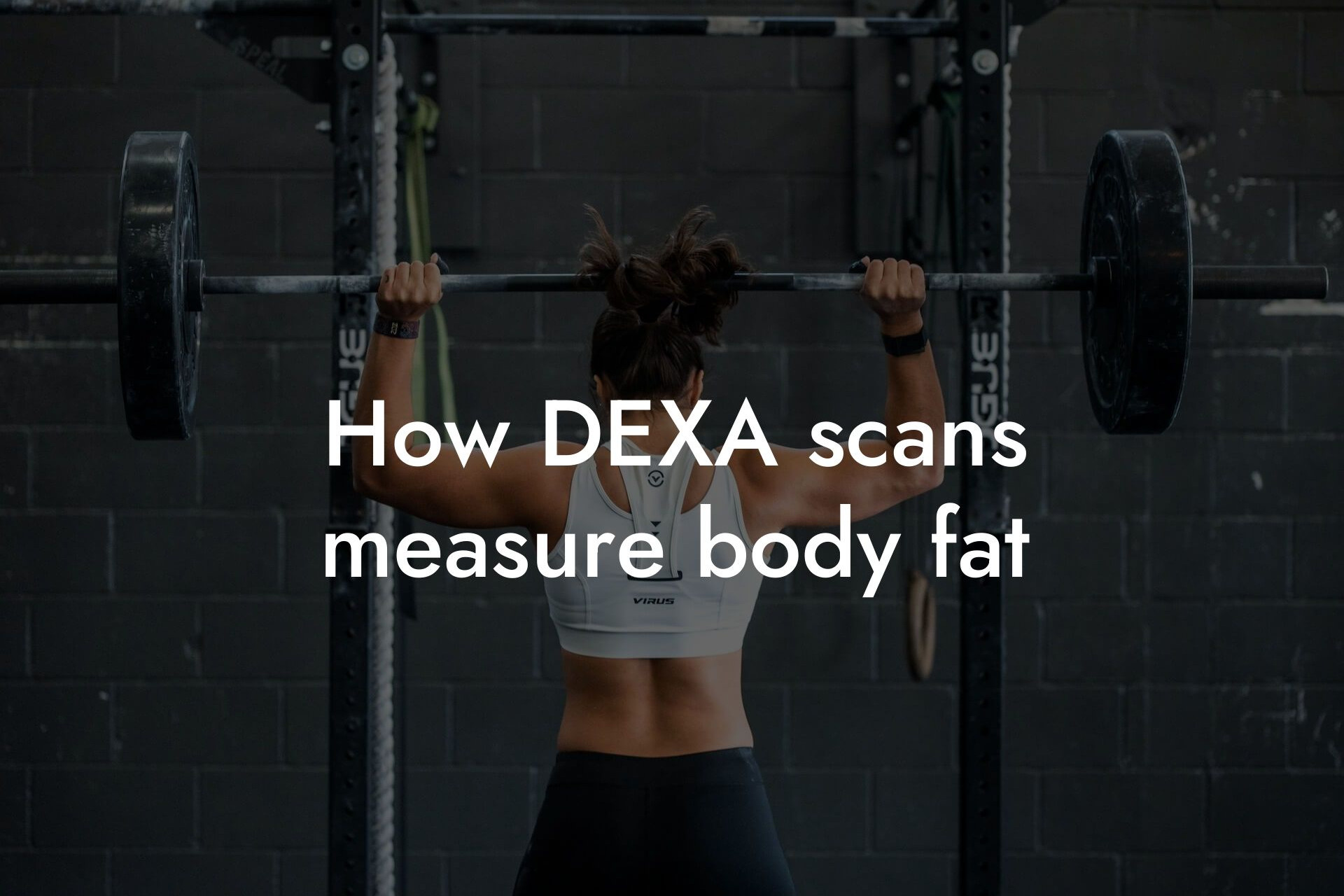 how dexa scans measure body fat tano performance dexa scanners body composition testing