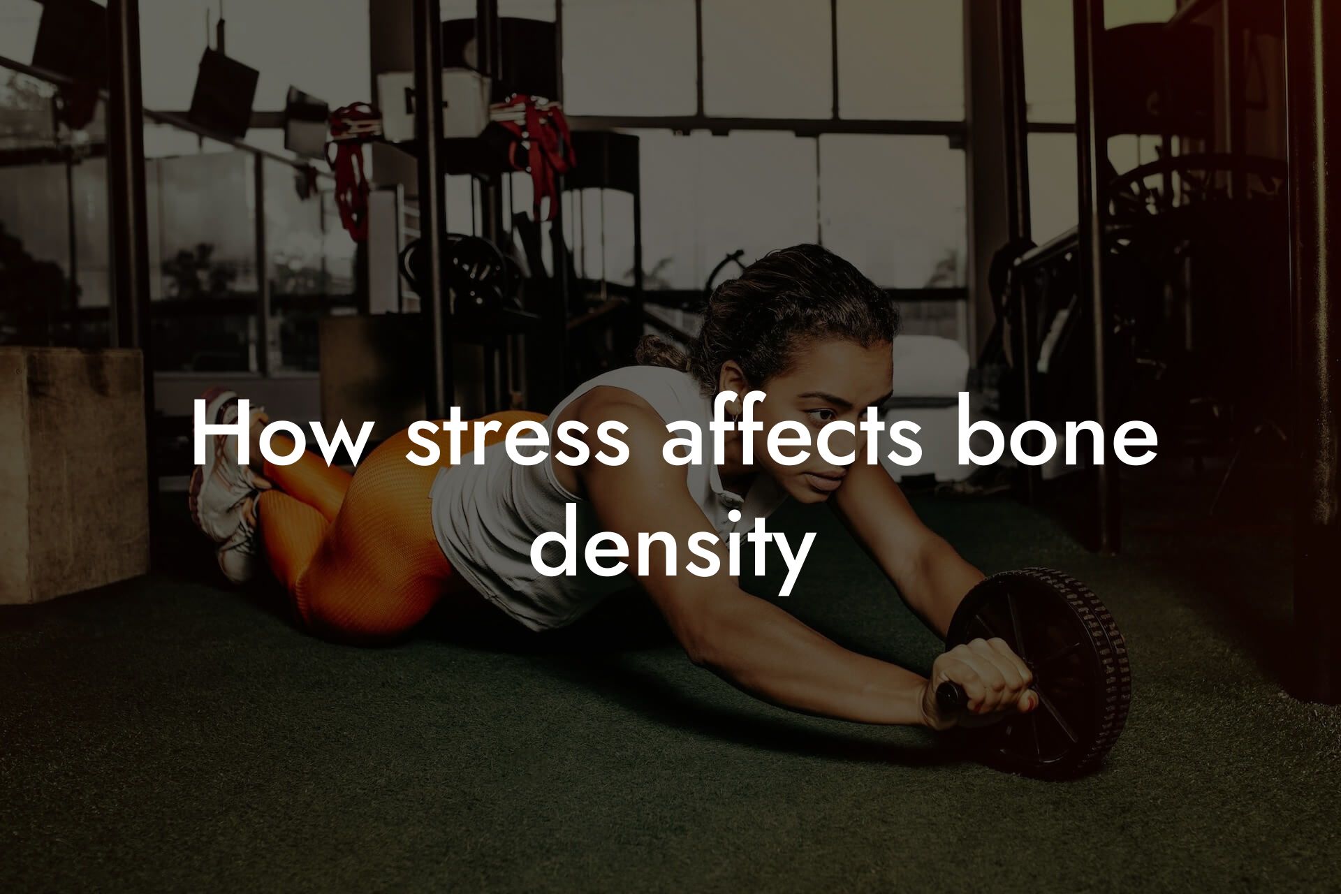 how stress affects bone density tano performance dexa scanners body composition testing