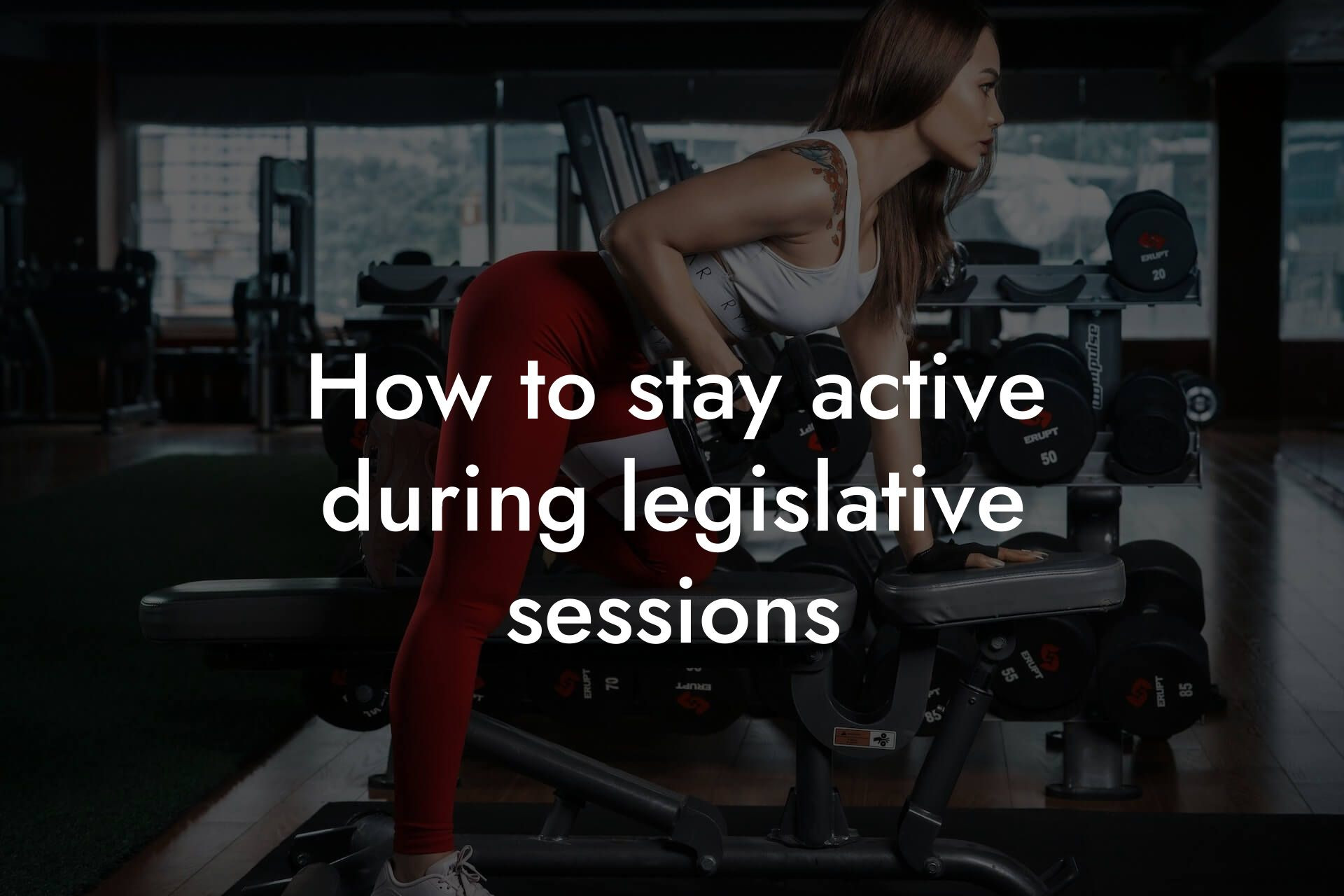 how to stay active during legislative sessions tano performance dexa scanners body composition testing