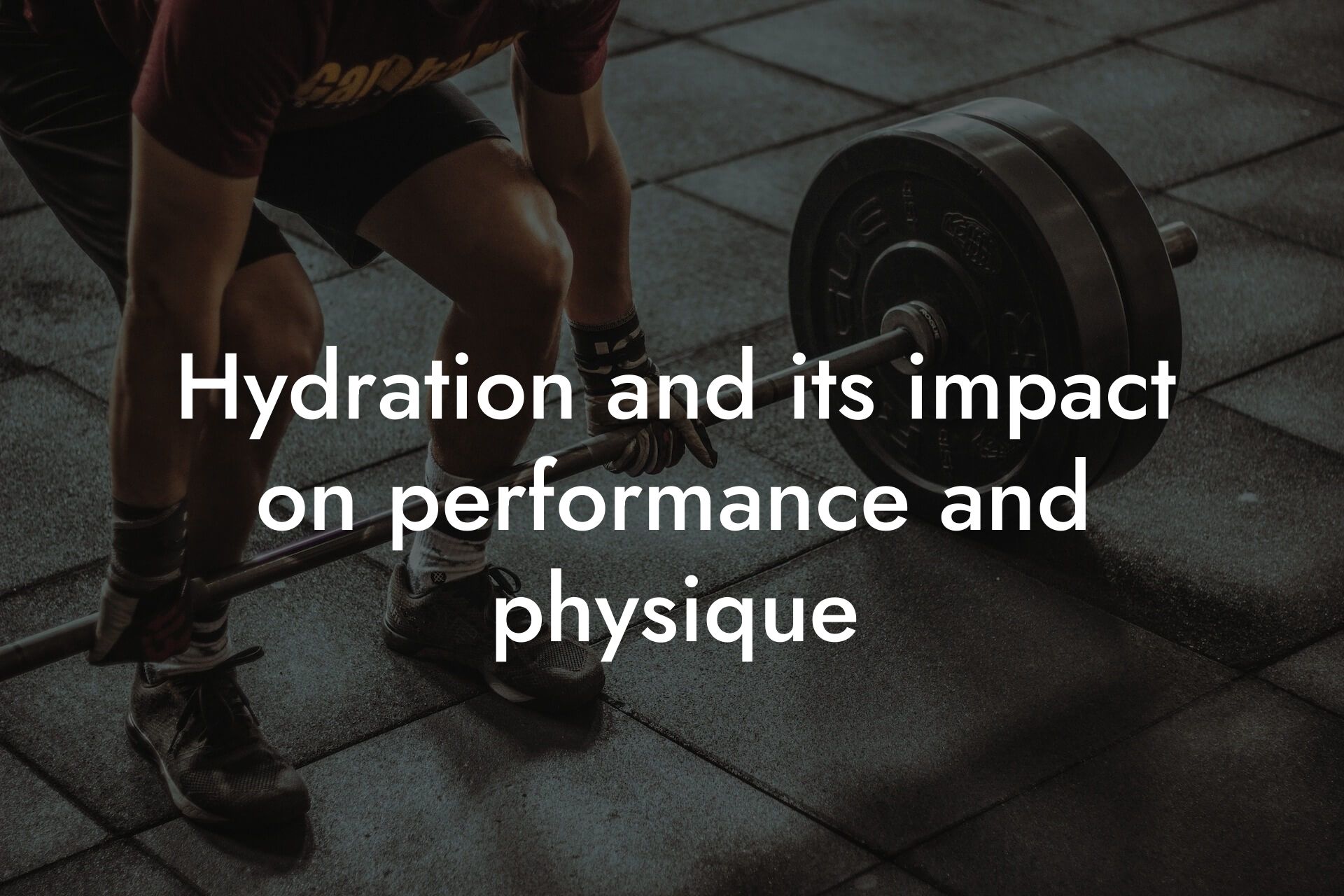 hydration and its impact on performance and physique tano performance dexa scanners body composition testing