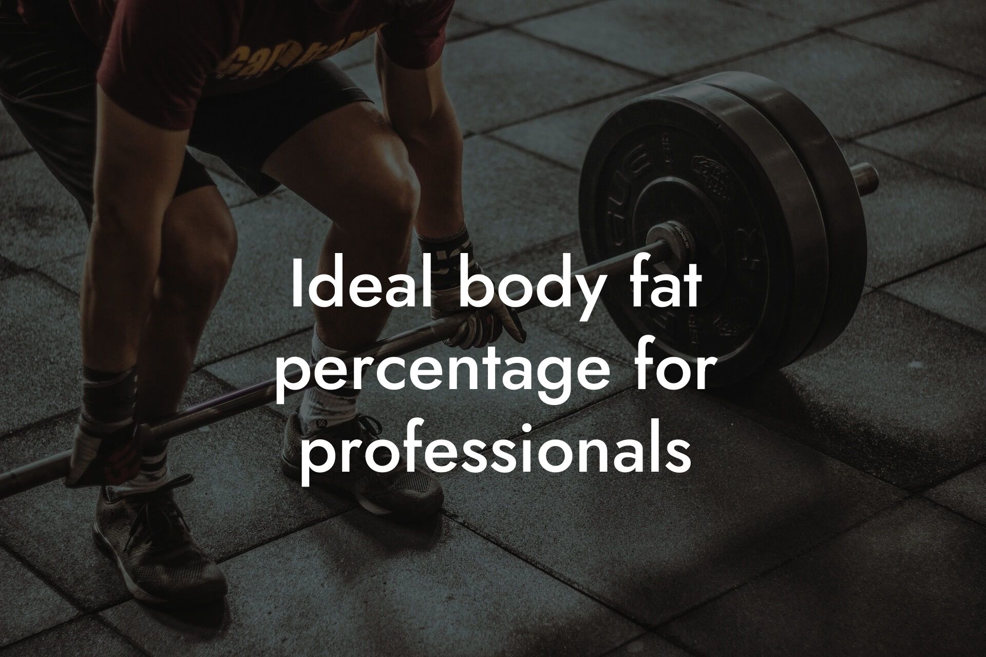 ideal body fat percentage for professionals tano performance dexa scanners body composition testing