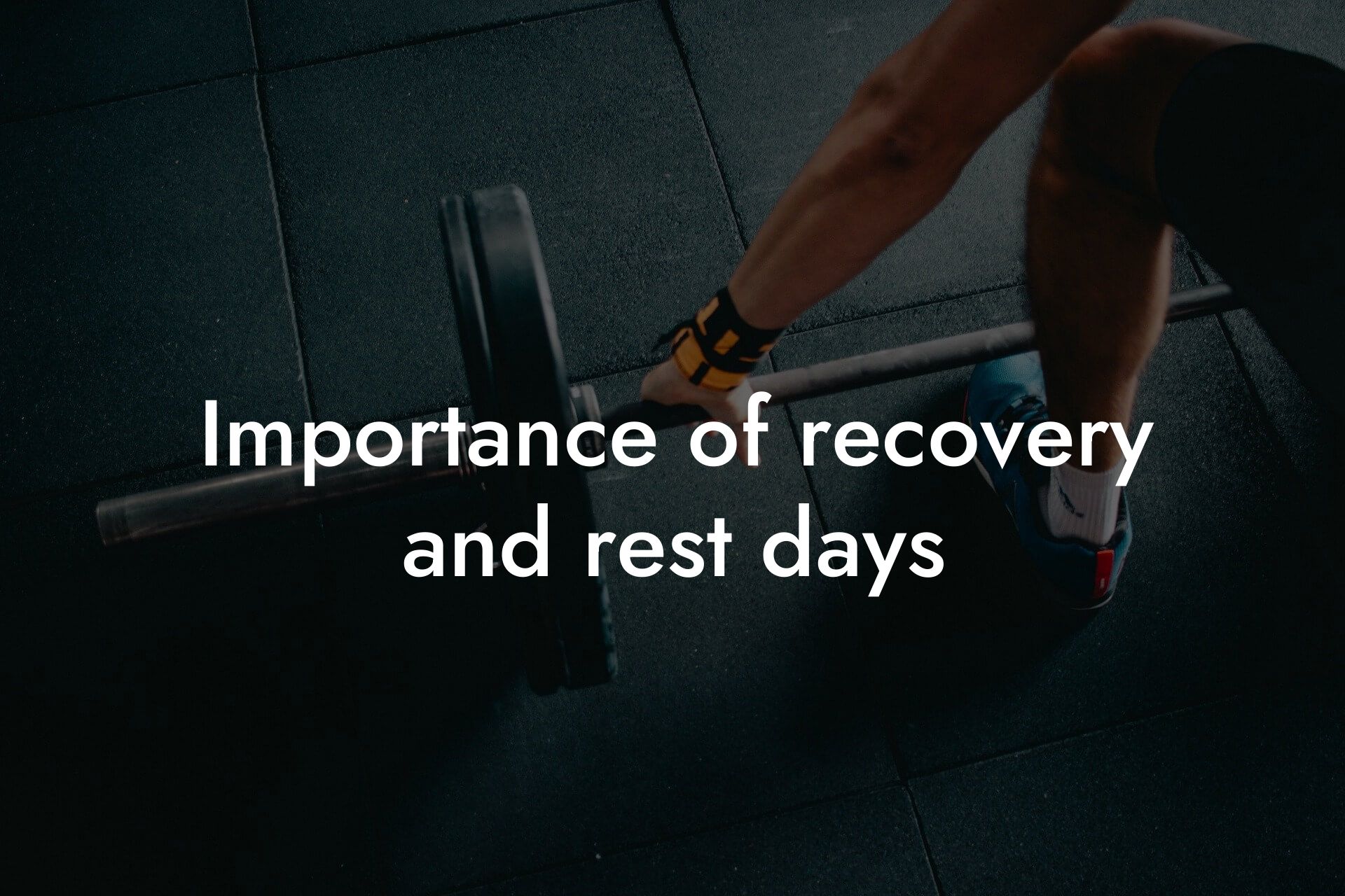 importance of recovery and rest days tano performance dexa scanners body composition testing