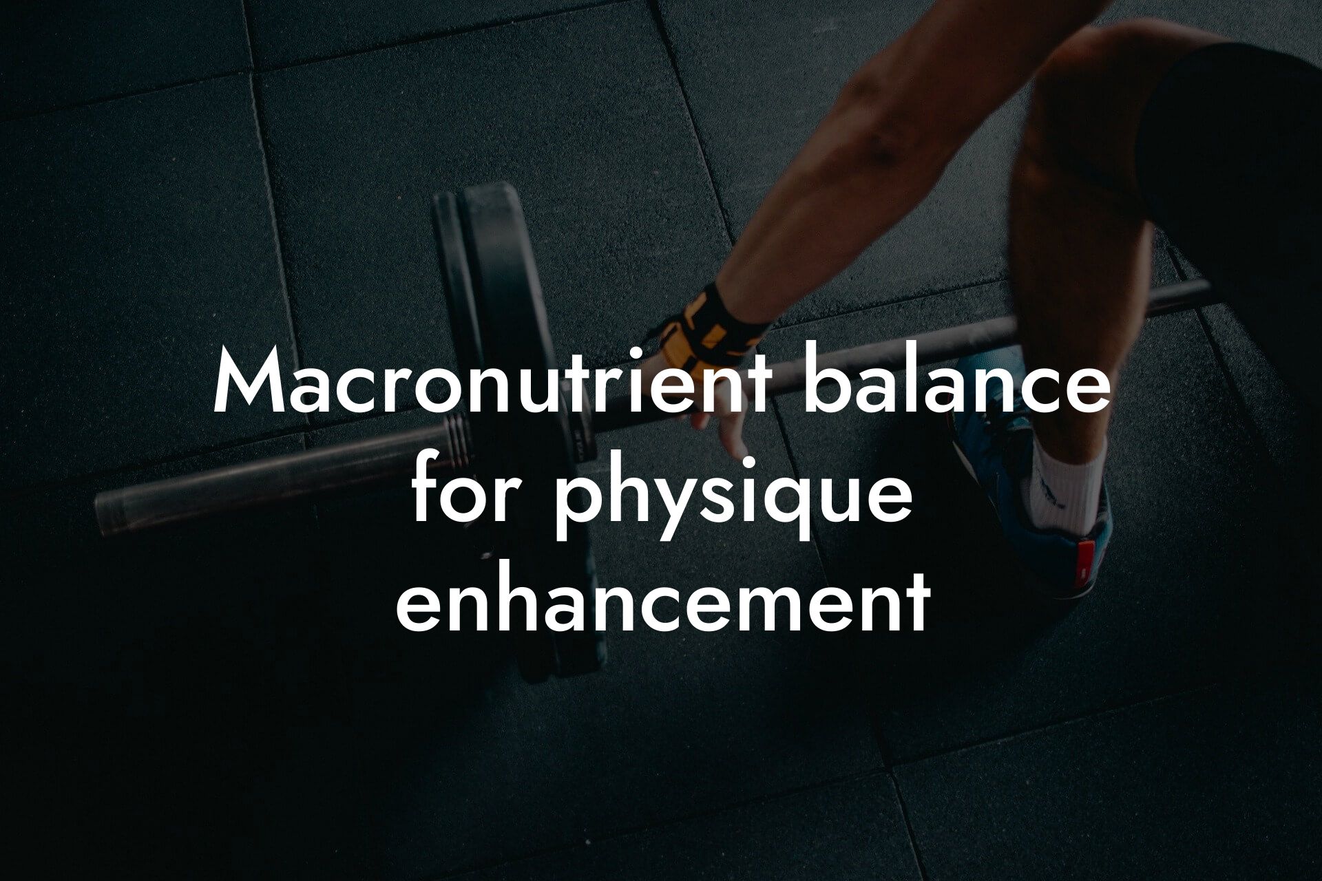 macronutrient balance for physique enhancement tano performance dexa scanners body composition testing