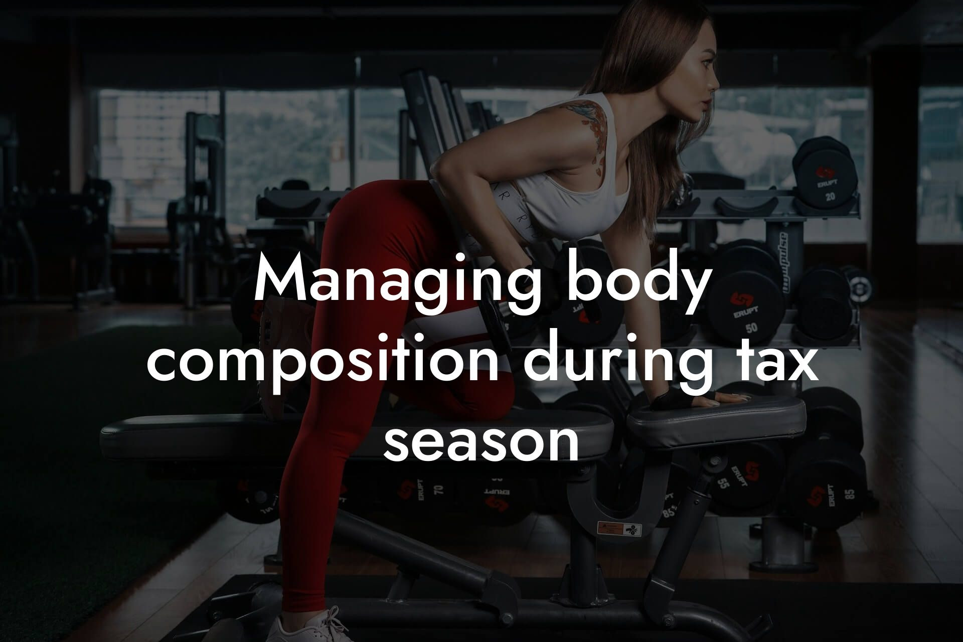 managing body composition during tax season tano performance dexa scanners body composition testing