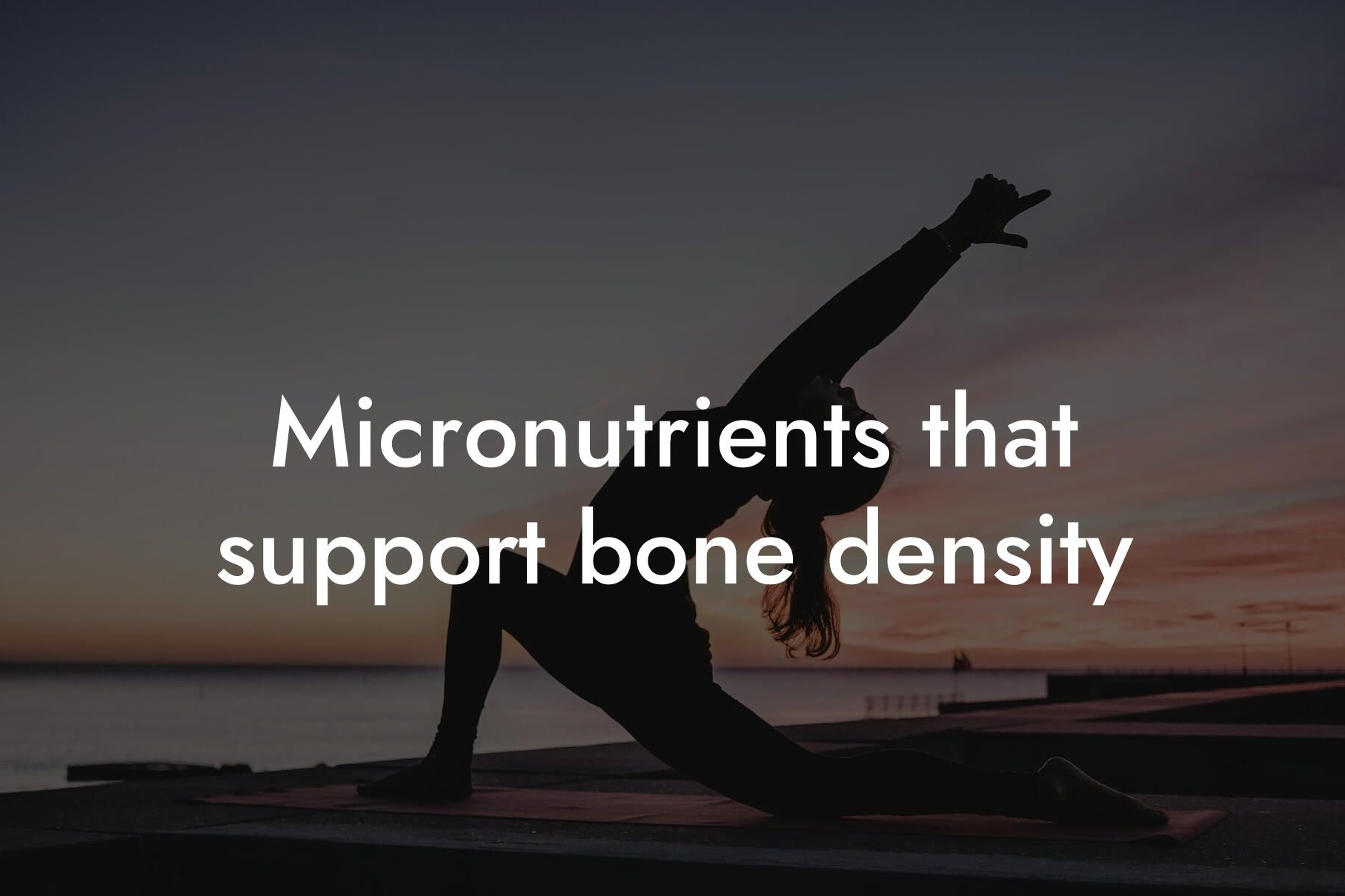 micronutrients that support bone density tano performance dexa scanners body composition testing