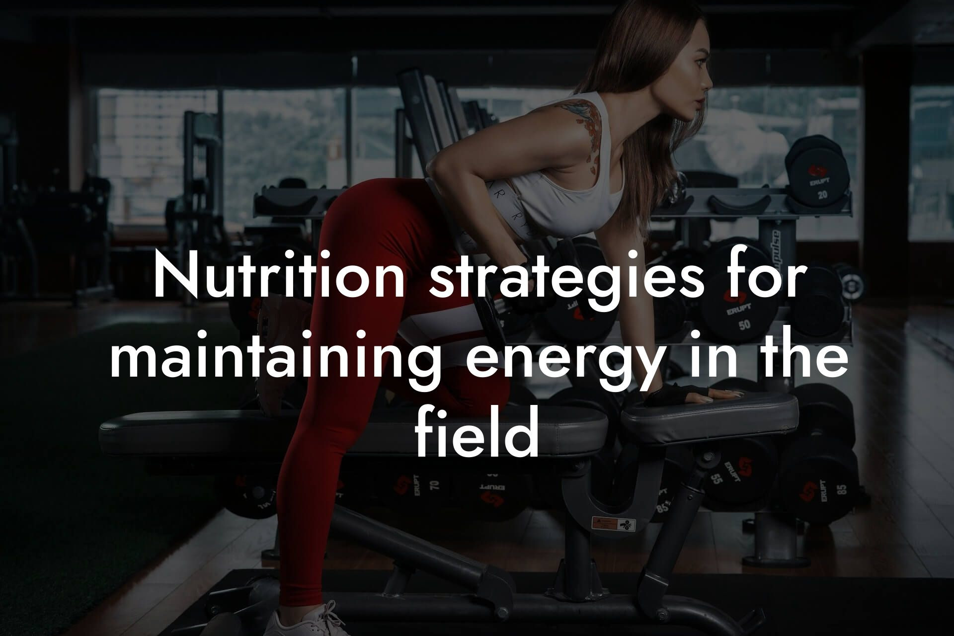 nutrition strategies for maintaining energy in the field tano performance dexa scanners body composition testing