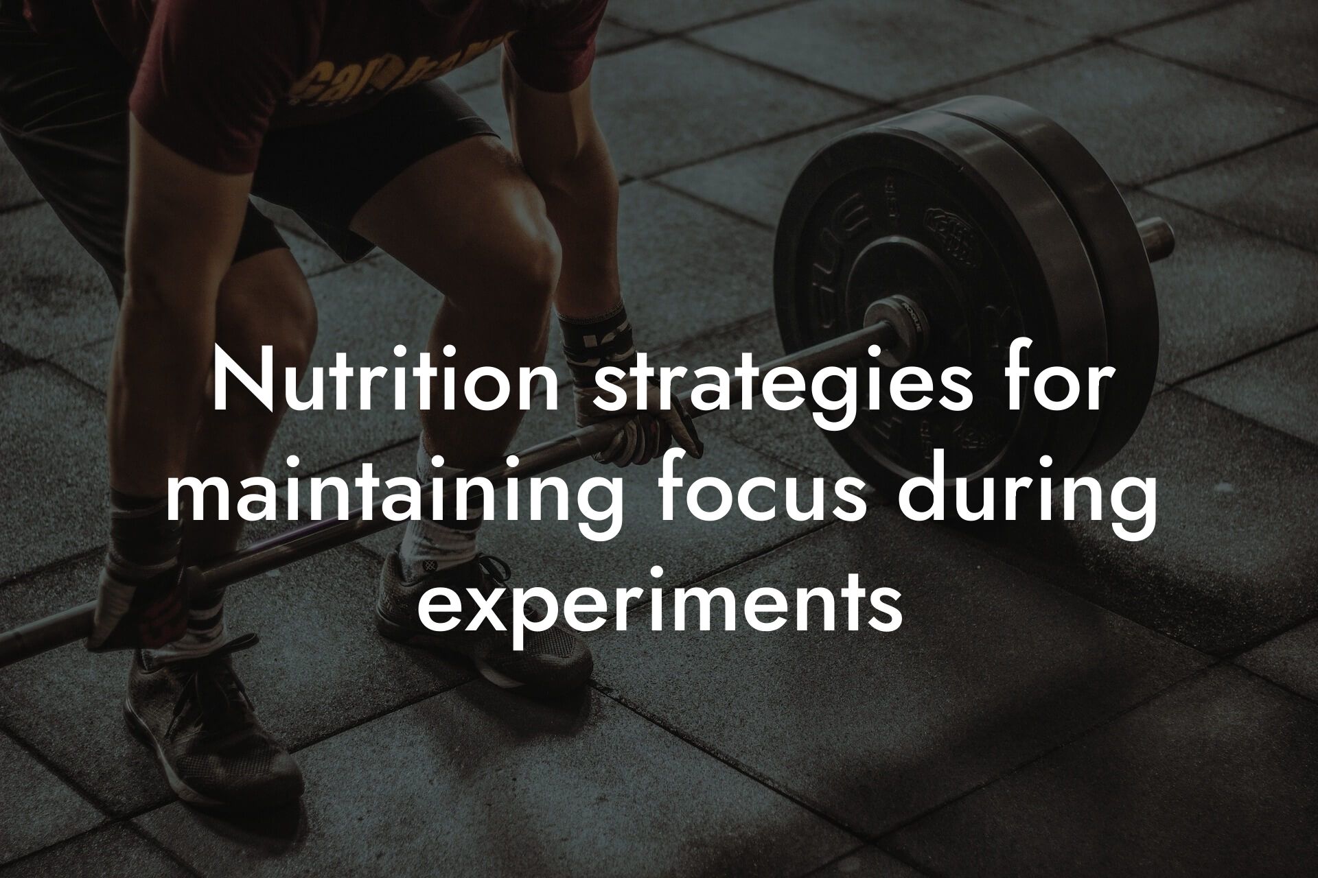 nutrition strategies for maintaining focus during experiments tano performance dexa scanners body composition testing