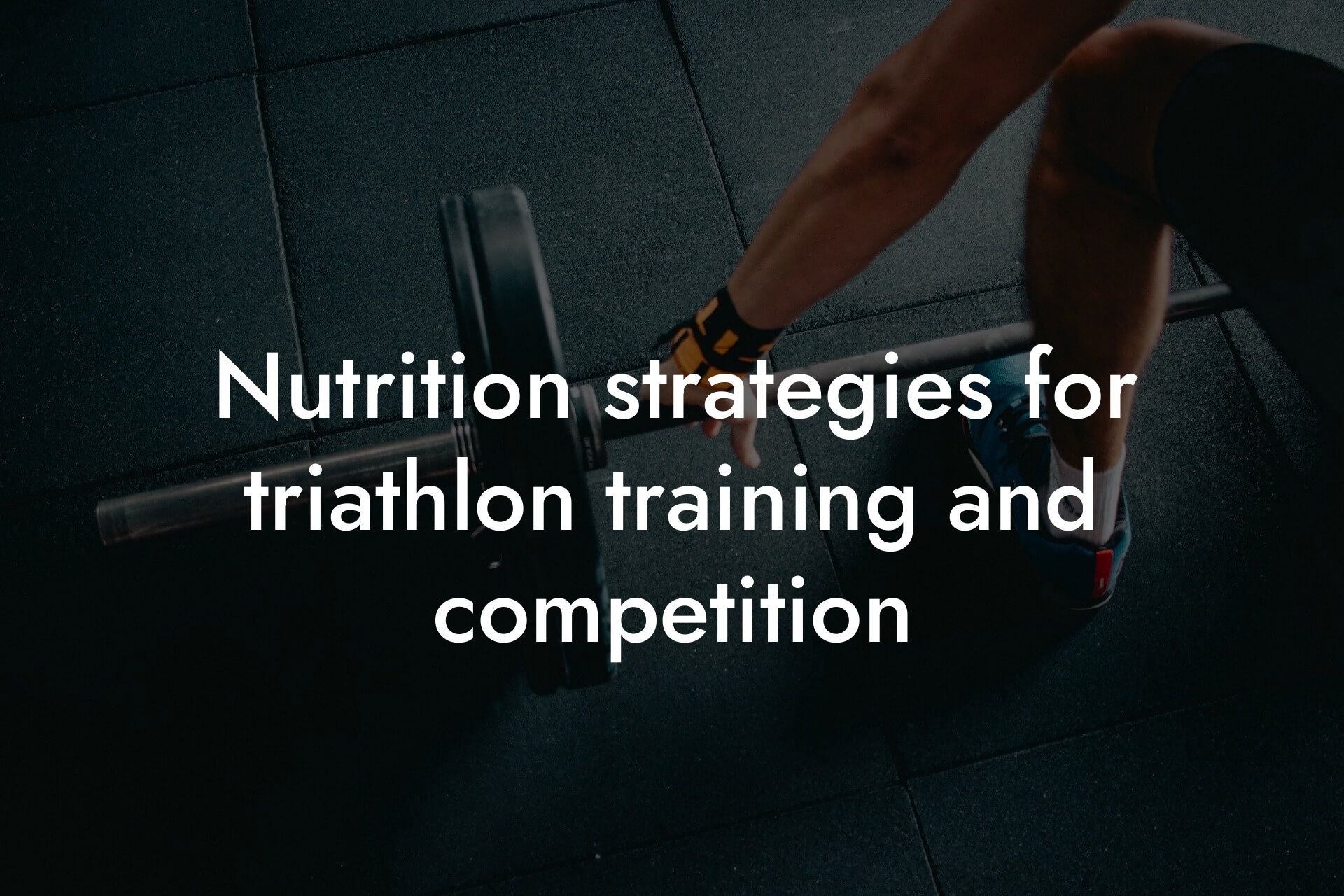 nutrition strategies for triathlon training and competition tano performance dexa scanners body composition testing