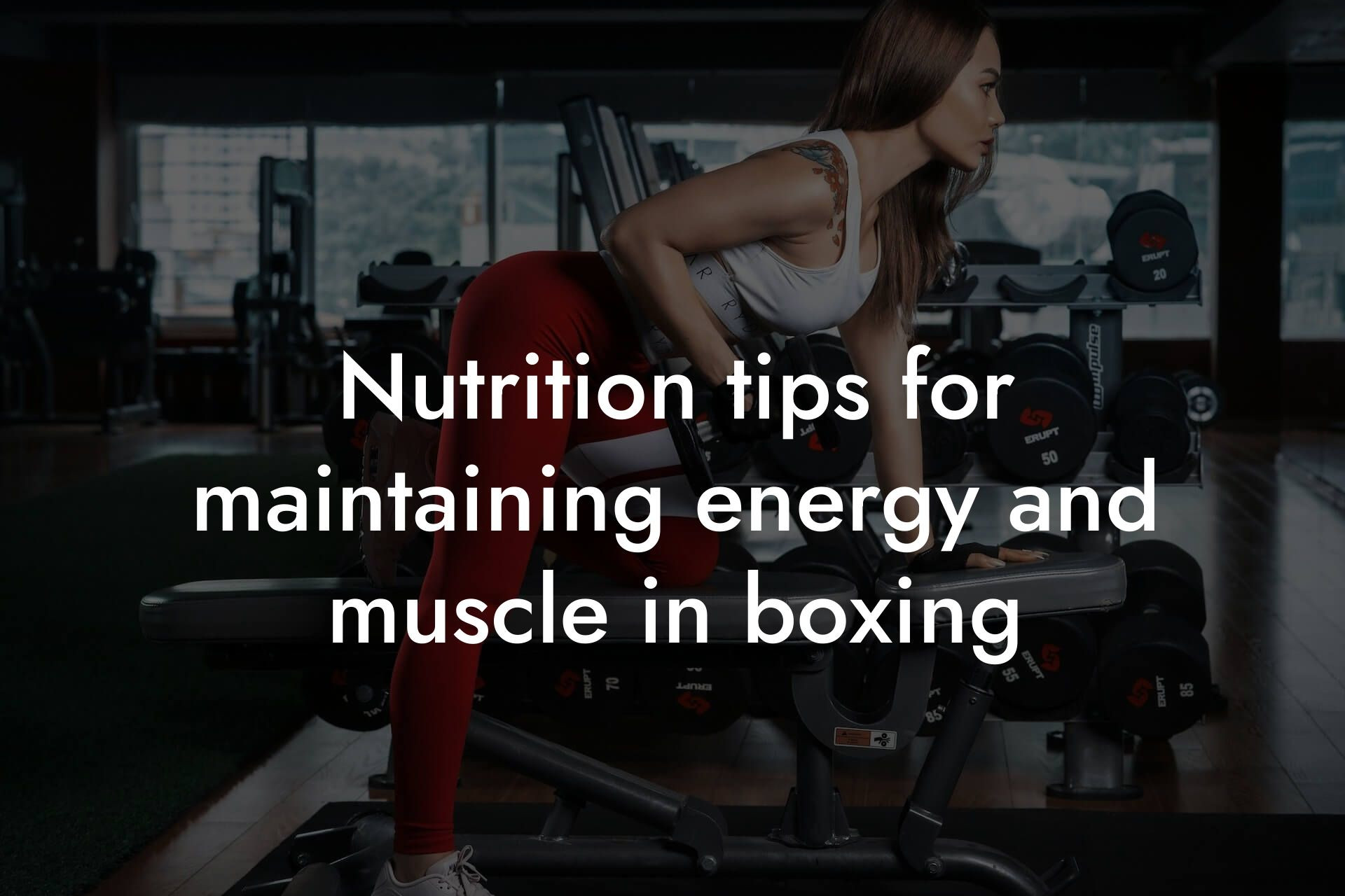 nutrition tips for maintaining energy and muscle in boxing tano performance dexa scanners body composition testing