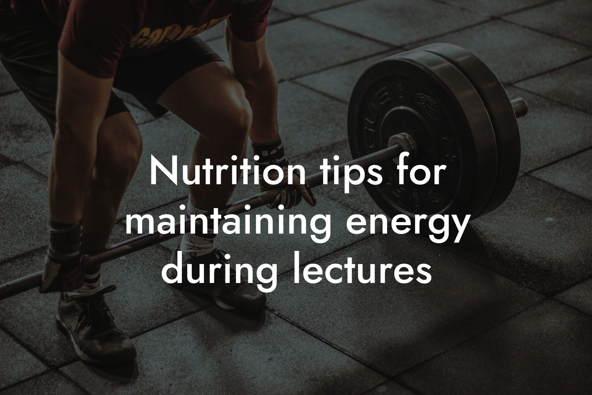 nutrition tips for maintaining energy during lectures tano performance dexa scanners body composition testing