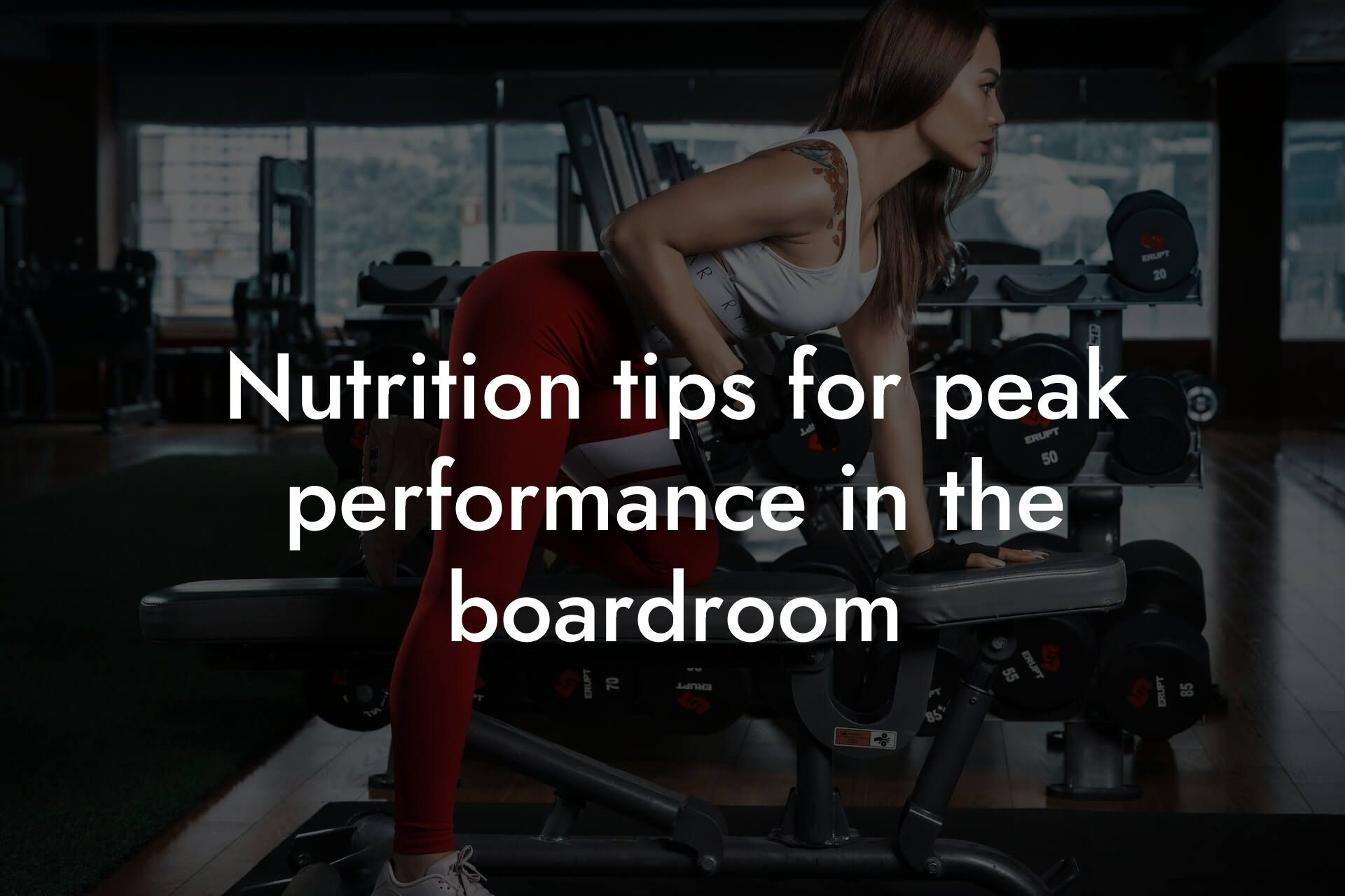 nutrition tips for peak performance in the boardroom tano performance dexa scanners body composition testing