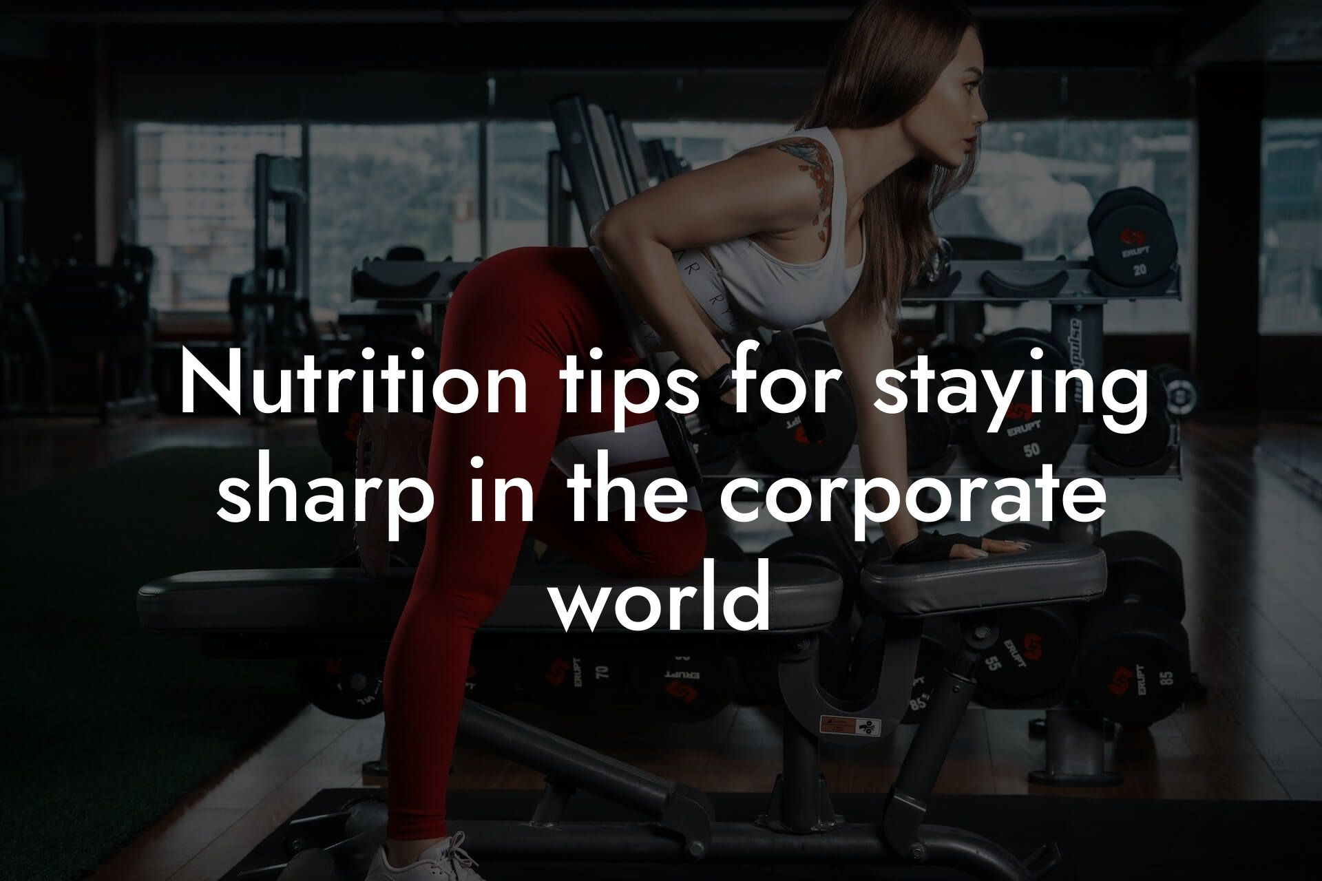 nutrition tips for staying sharp in the corporate world tano performance dexa scanners body composition testing