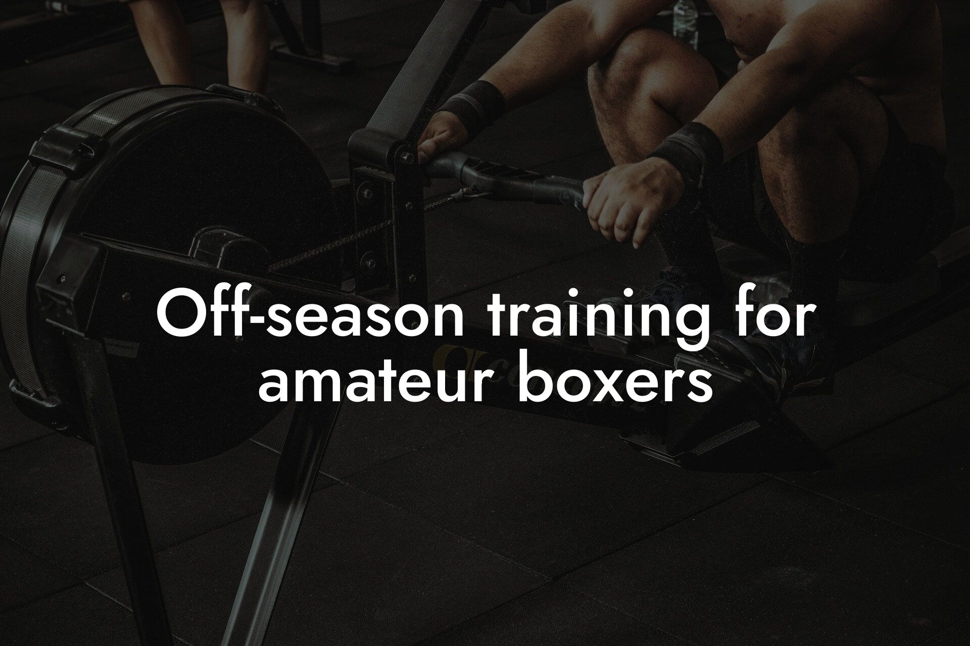 offseason training for amateur boxers tano performance dexa scanners body composition testing