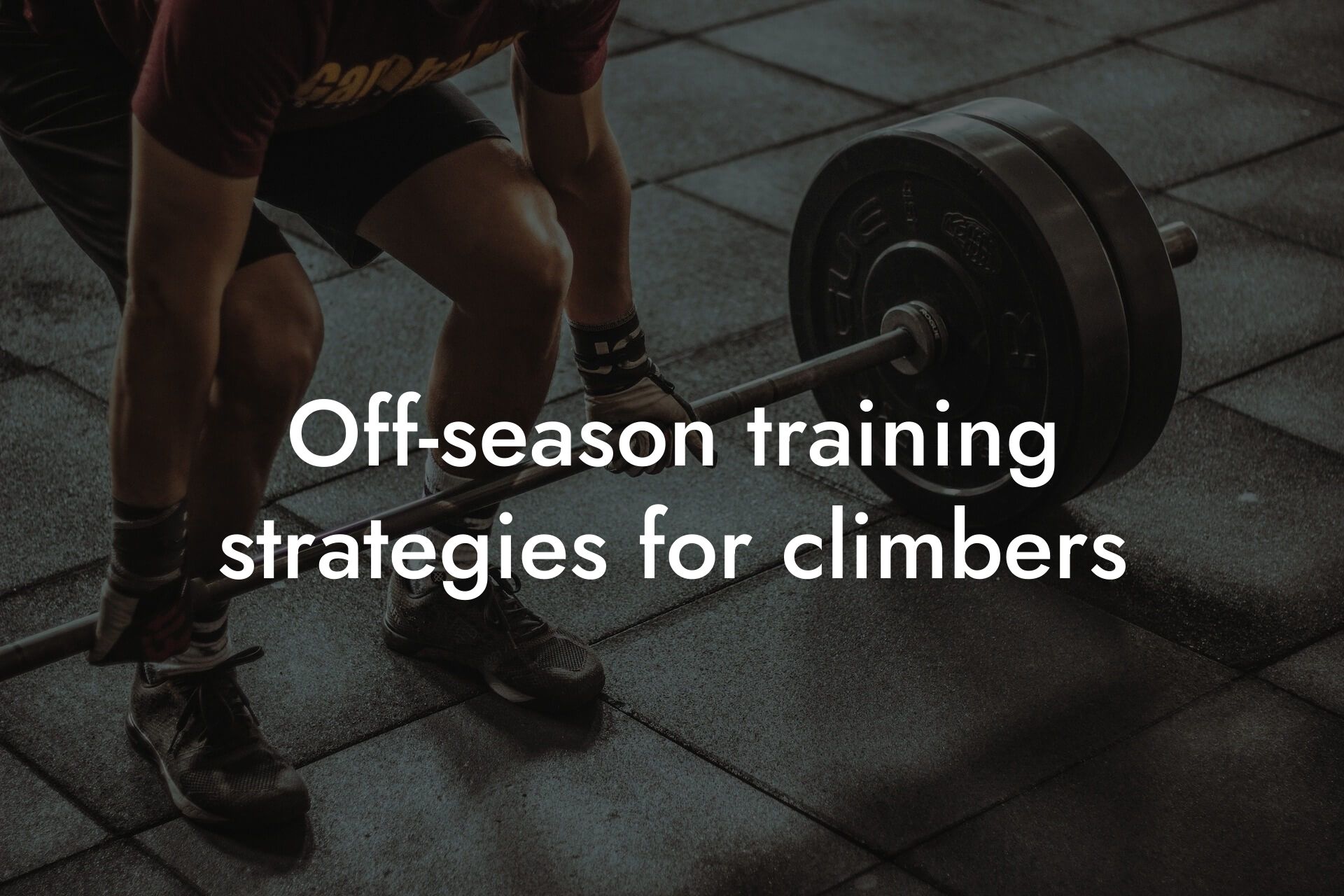 offseason training strategies for climbers tano performance dexa scanners body composition testing