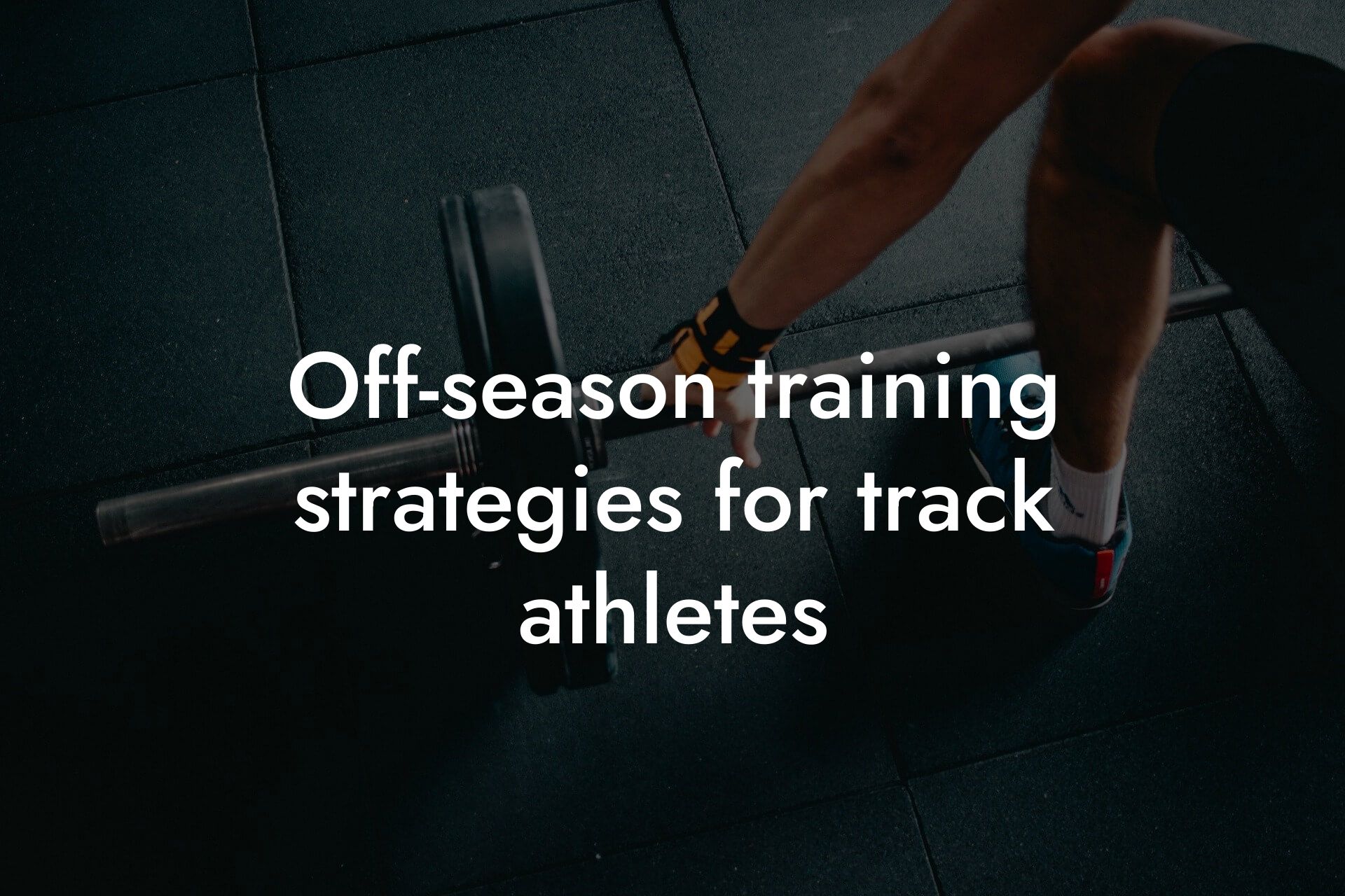 offseason training strategies for track athletes tano performance dexa scanners body composition testing