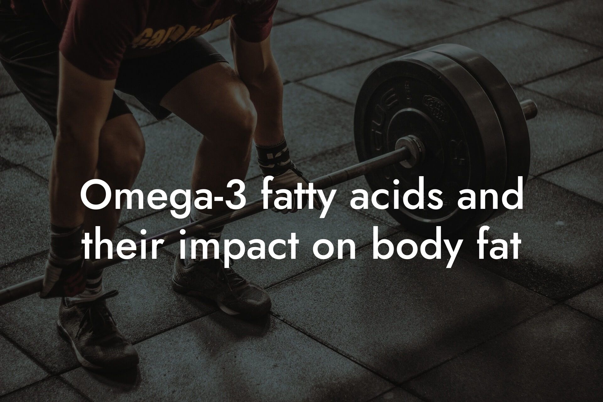 omega3 fatty acids and their impact on body fat tano performance dexa scanners body composition testing