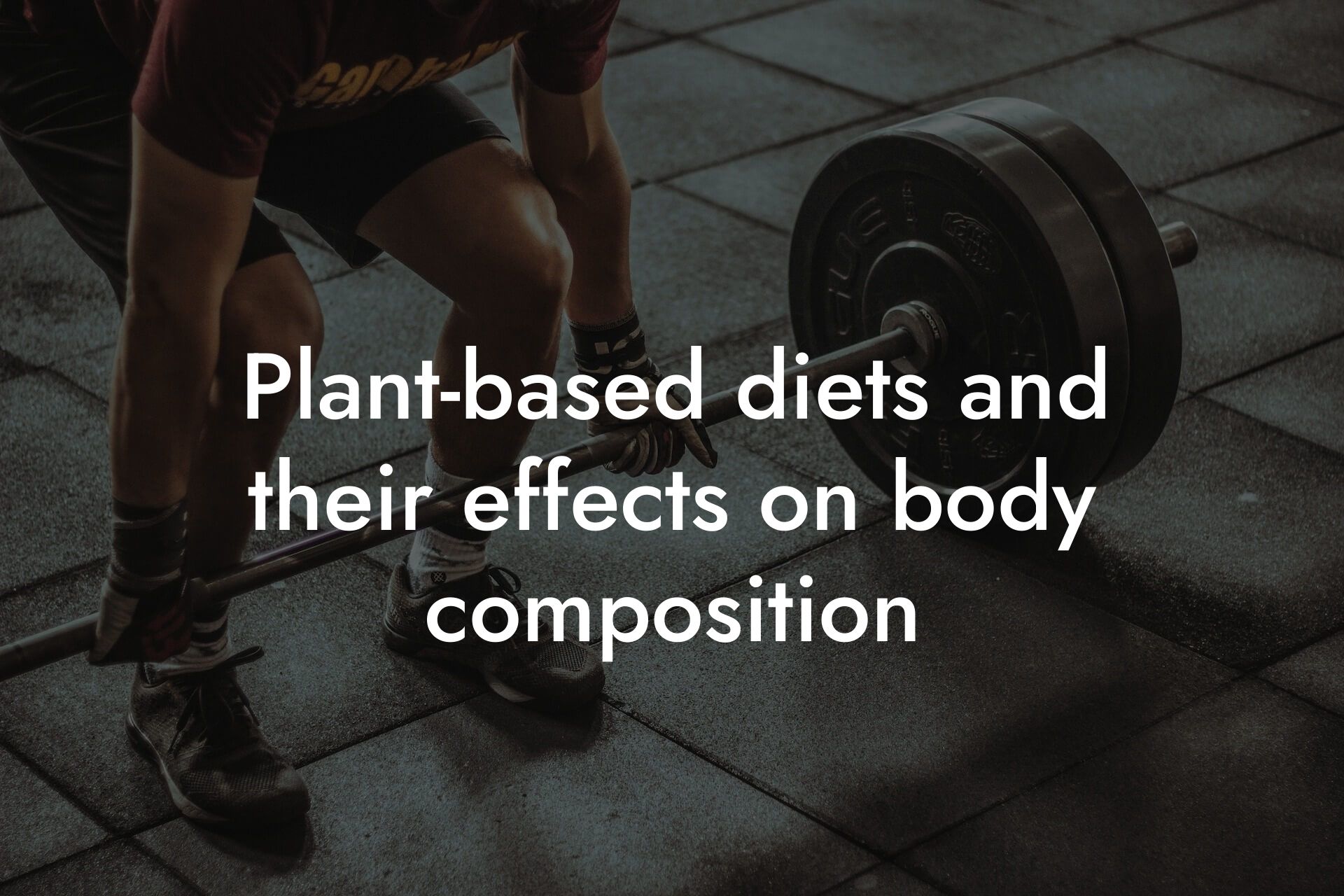 plantbased diets and their effects on body composition tano performance dexa scanners body composition testing