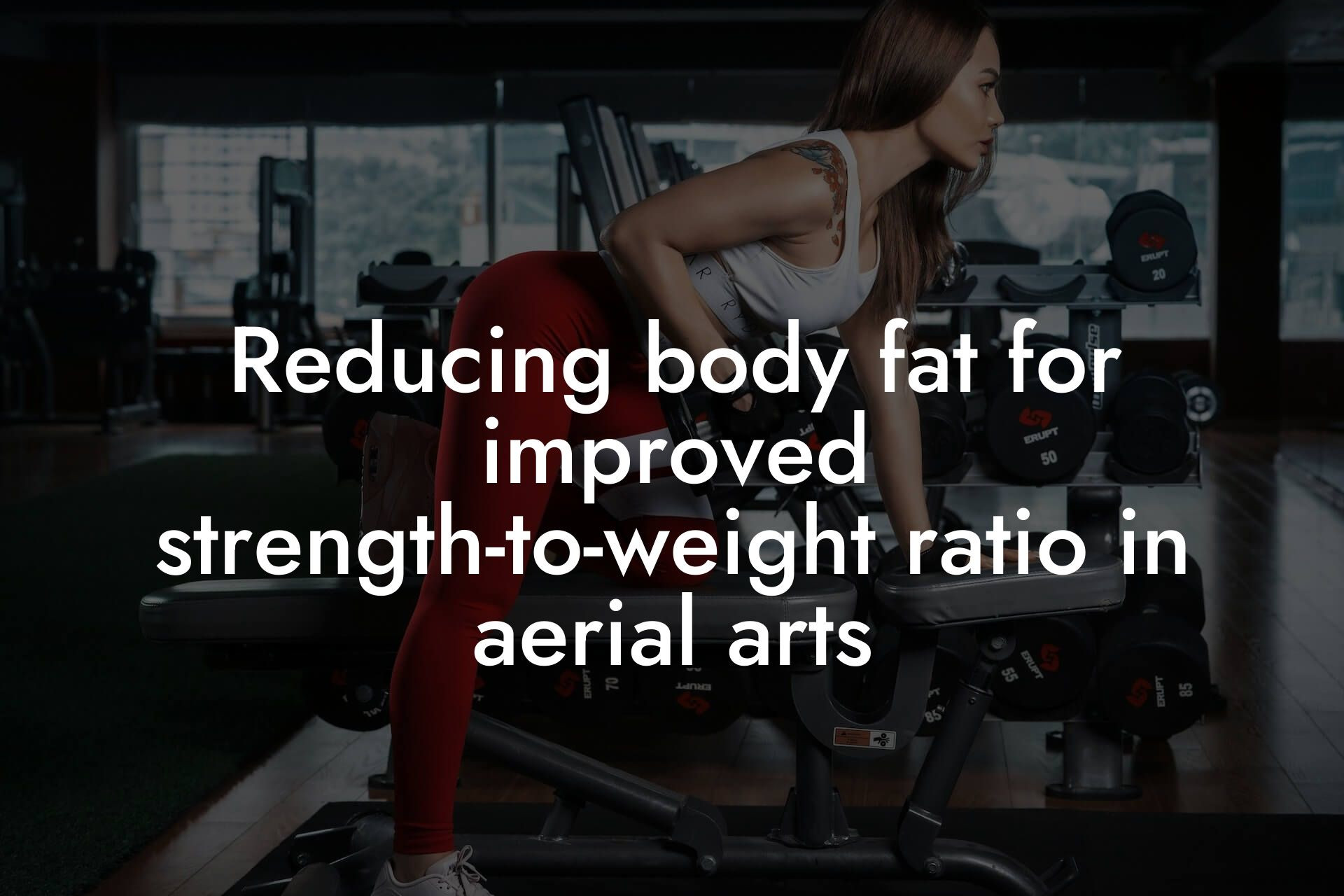 reducing body fat for improved strengthtoweight ratio in aerial arts tano performance dexa scanners body composition testing