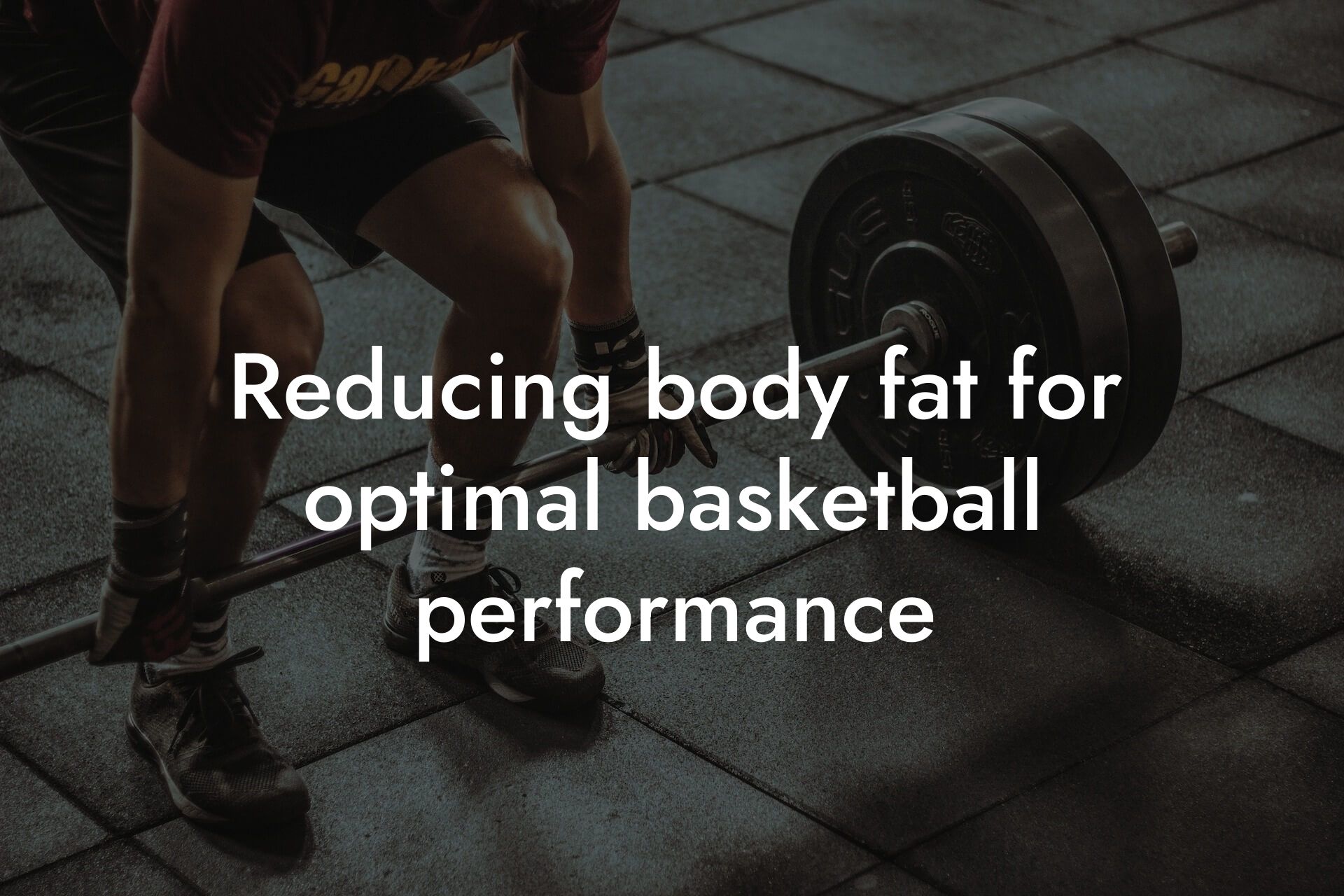 reducing body fat for optimal basketball performance tano performance dexa scanners body composition testing