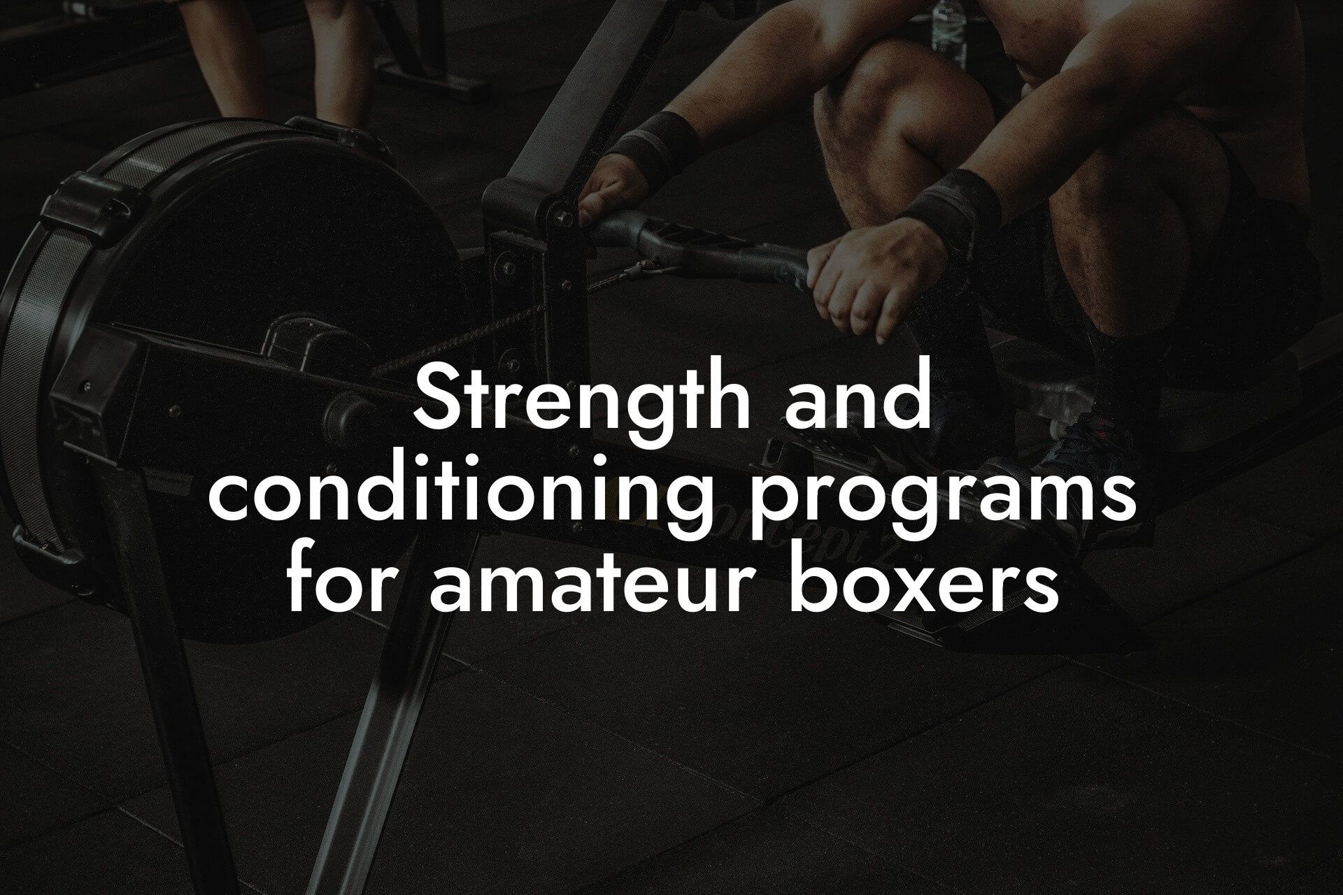 strength and conditioning programs for amateur boxers tano performance dexa scanners body composition testing