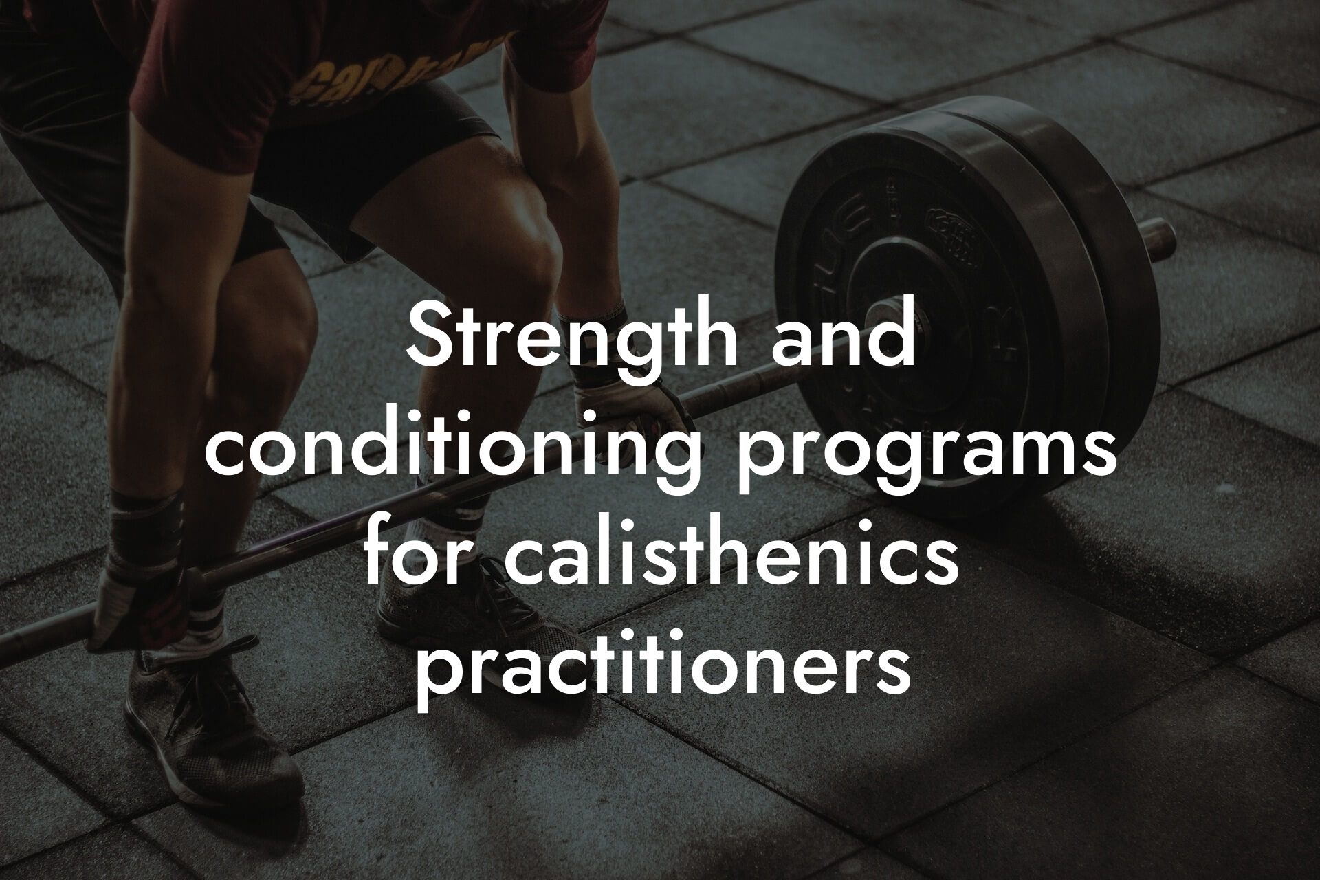 strength and conditioning programs for calisthenics practitioners tano performance dexa scanners body composition testing