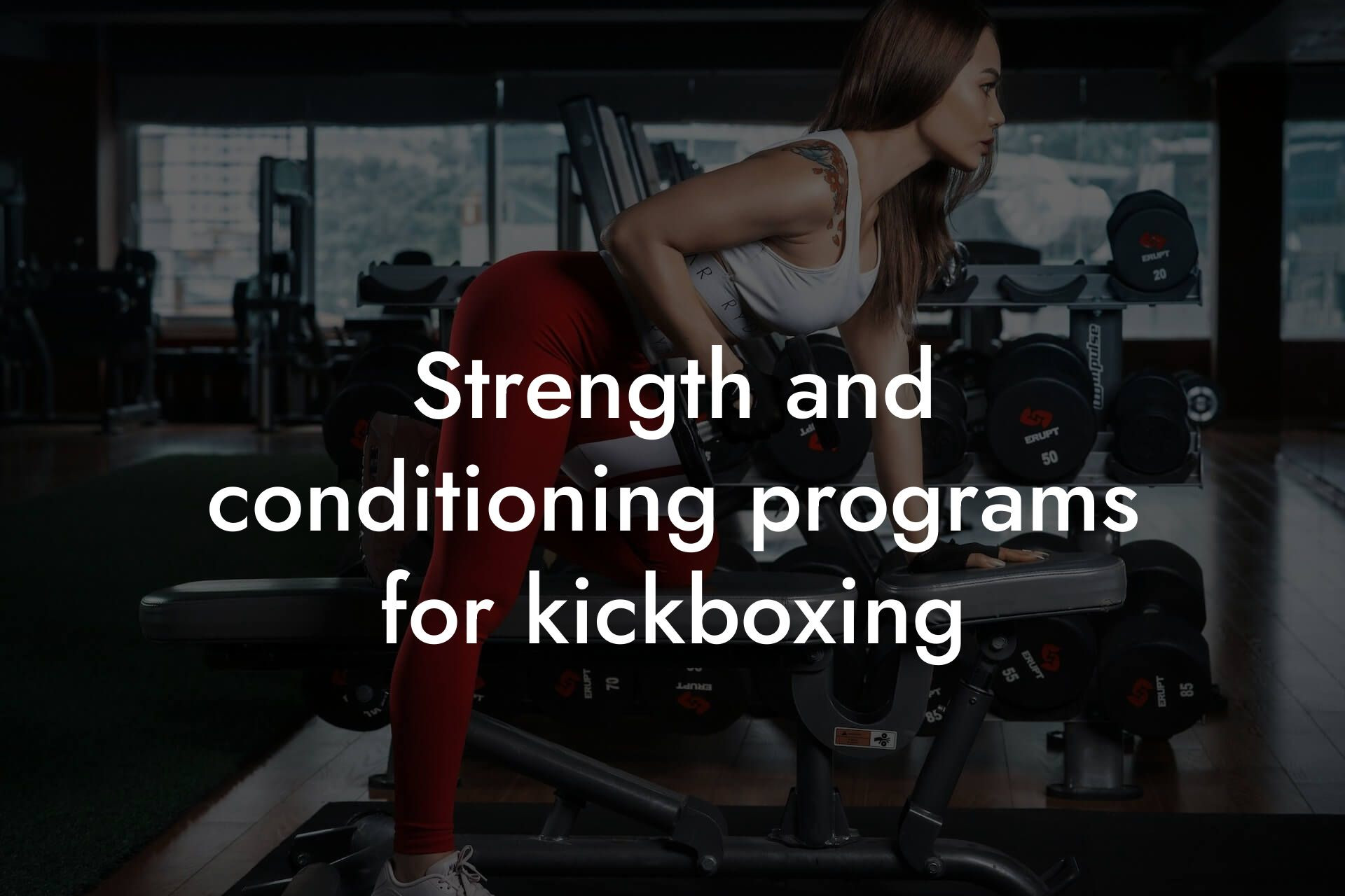 strength and conditioning programs for kickboxing tano performance dexa scanners body composition testing