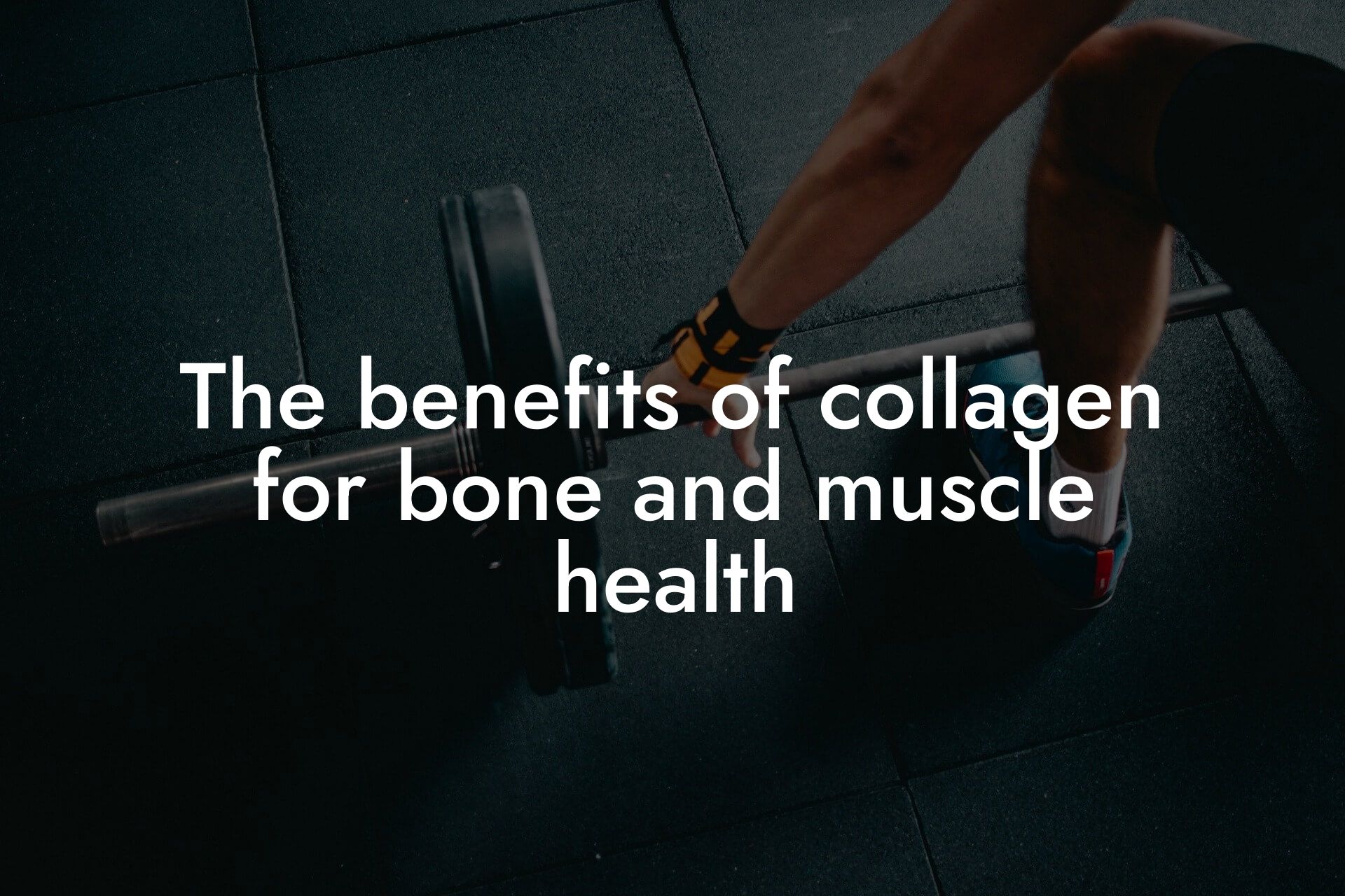 the benefits of collagen for bone and muscle health tano performance dexa scanners body composition testing