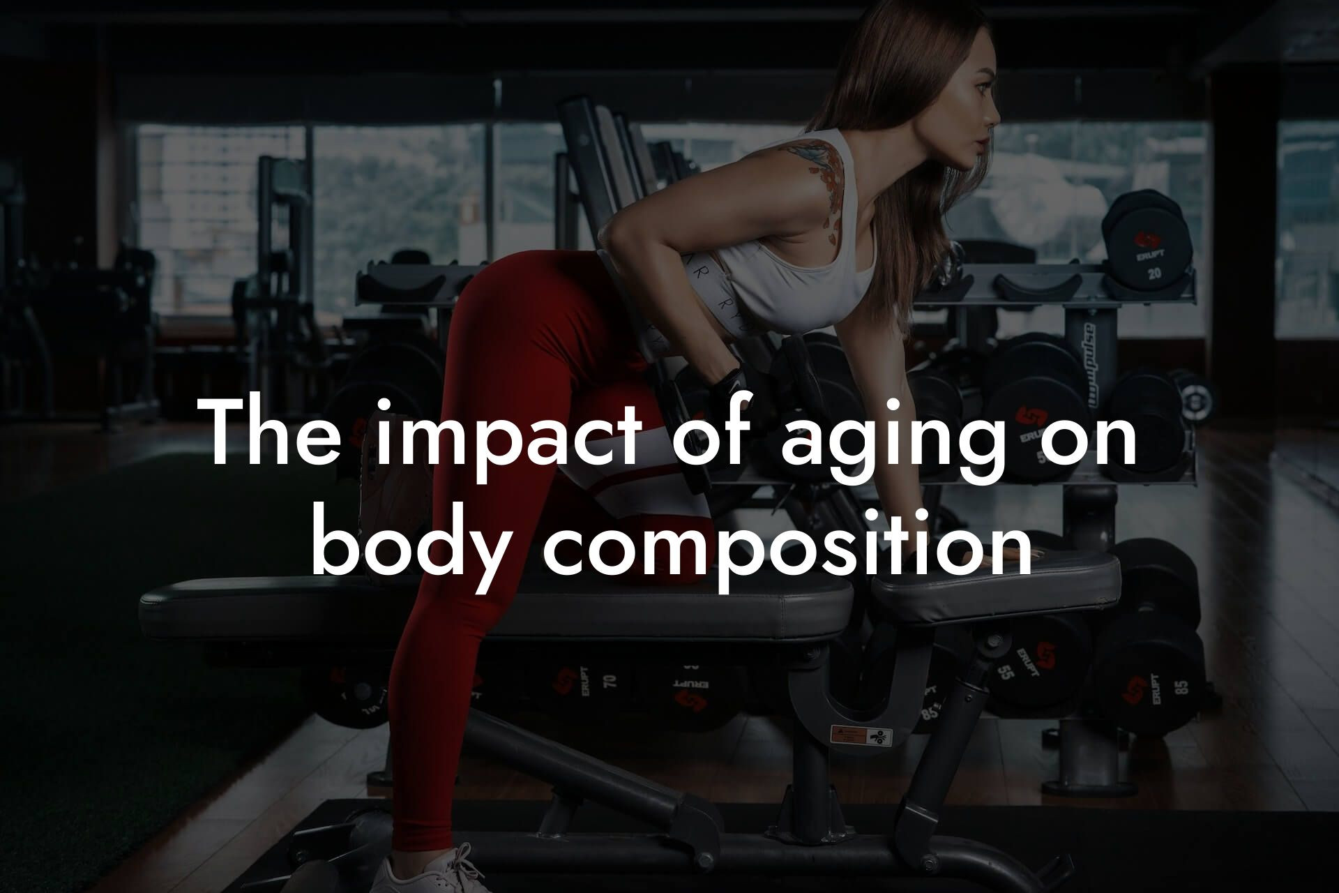 the impact of aging on body composition tano performance dexa scanners body composition testing