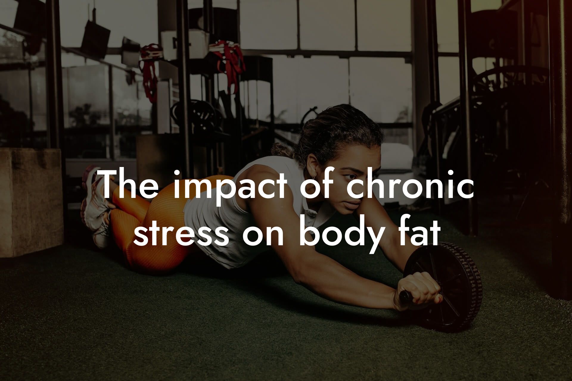 the impact of chronic stress on body fat tano performance dexa scanners body composition testing