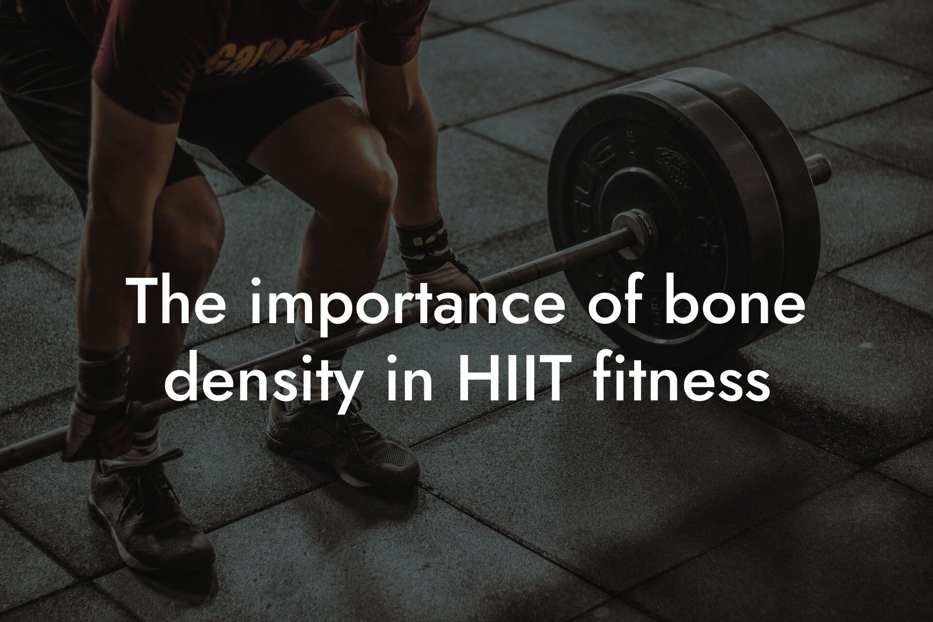 the importance of bone density in hiit fitness tano performance dexa scanners body composition testing