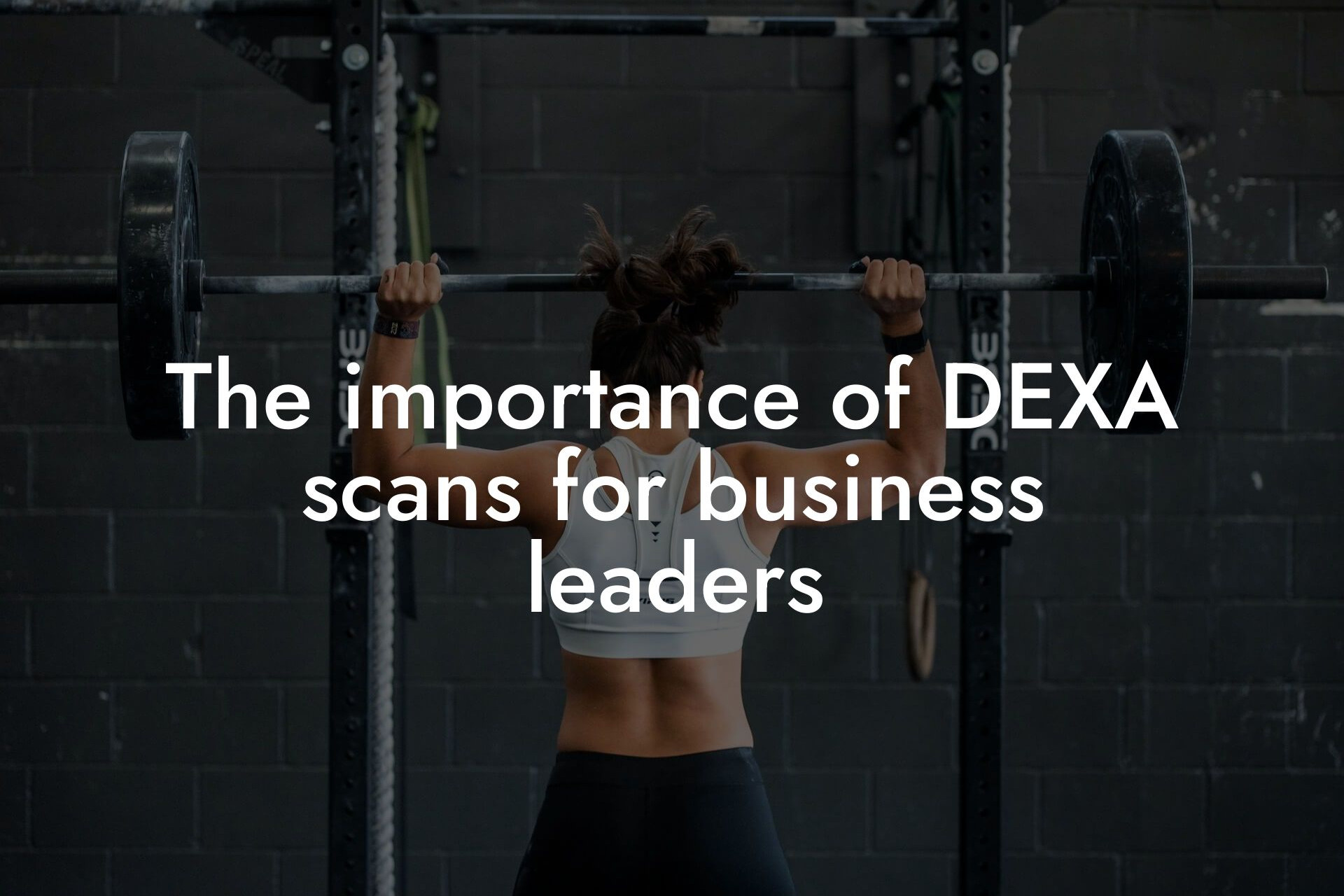 the importance of dexa scans for business leaders tano performance dexa scanners body composition testing