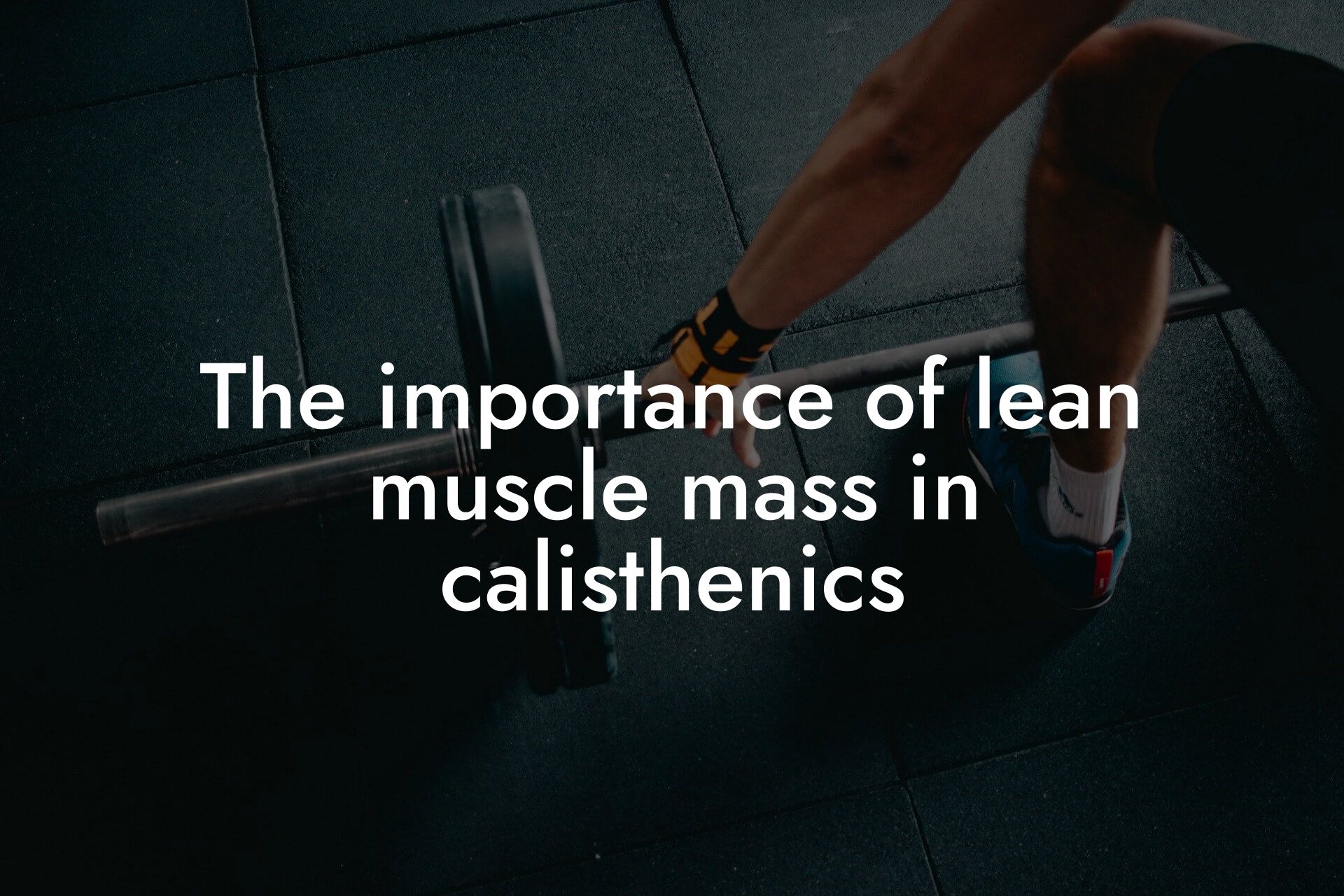 the importance of lean muscle mass in calisthenics tano performance dexa scanners body composition testing