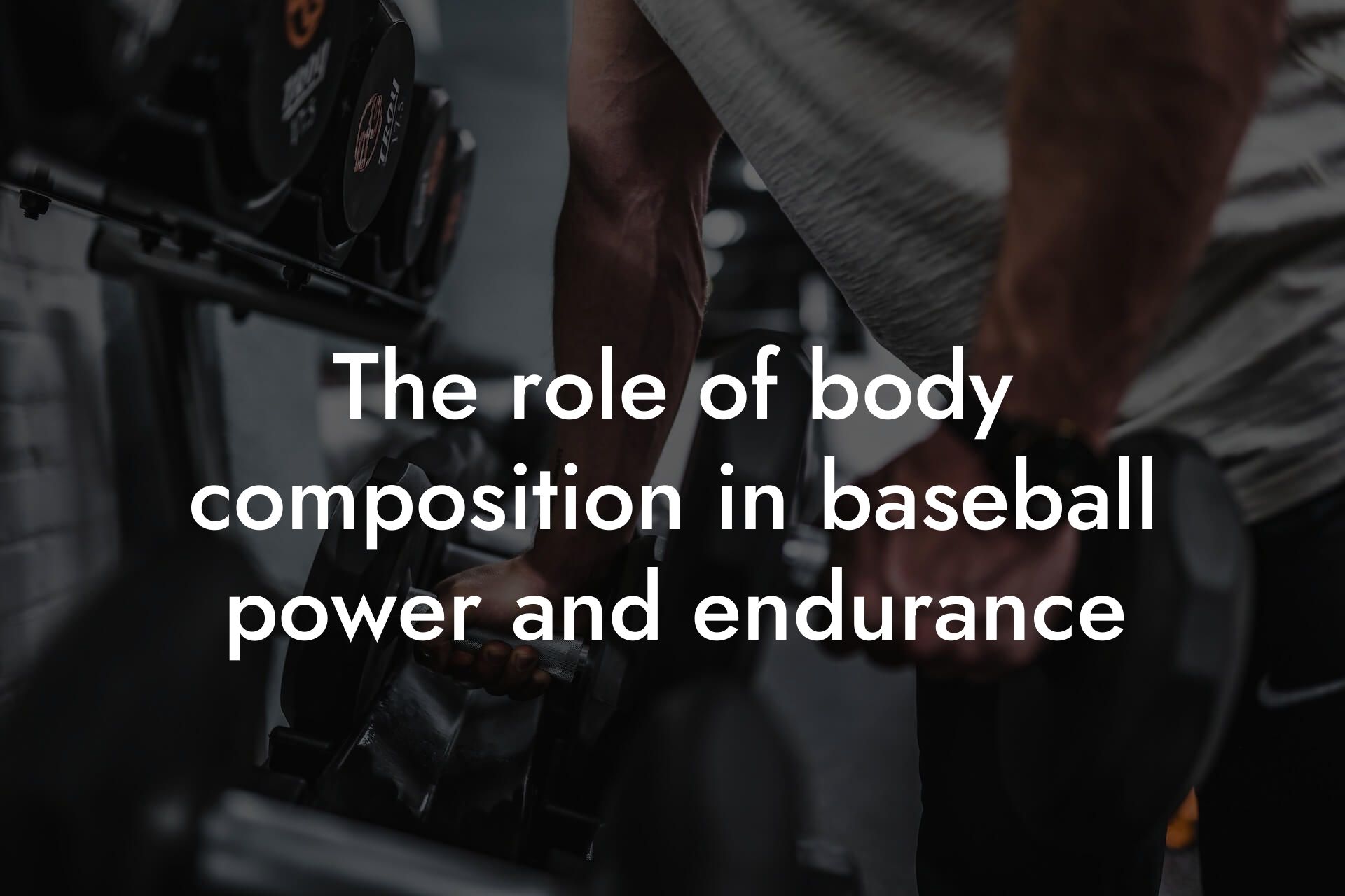 the role of body composition in baseball power and endurance tano performance dexa scanners body composition testing