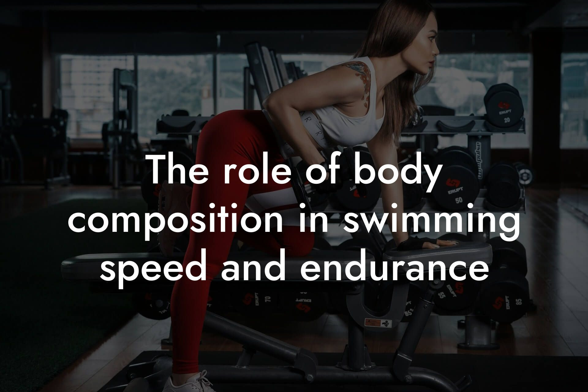 the role of body composition in swimming speed and endurance tano performance dexa scanners body composition testing