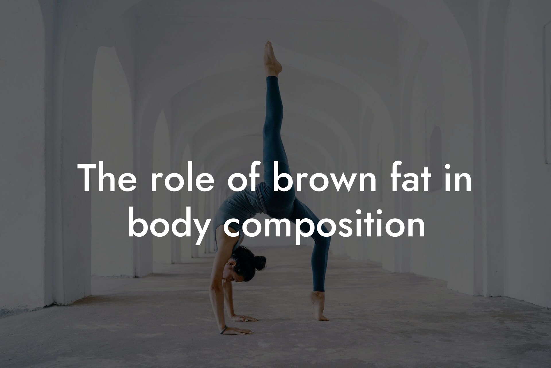 the role of brown fat in body composition tano performance dexa scanners body composition testing