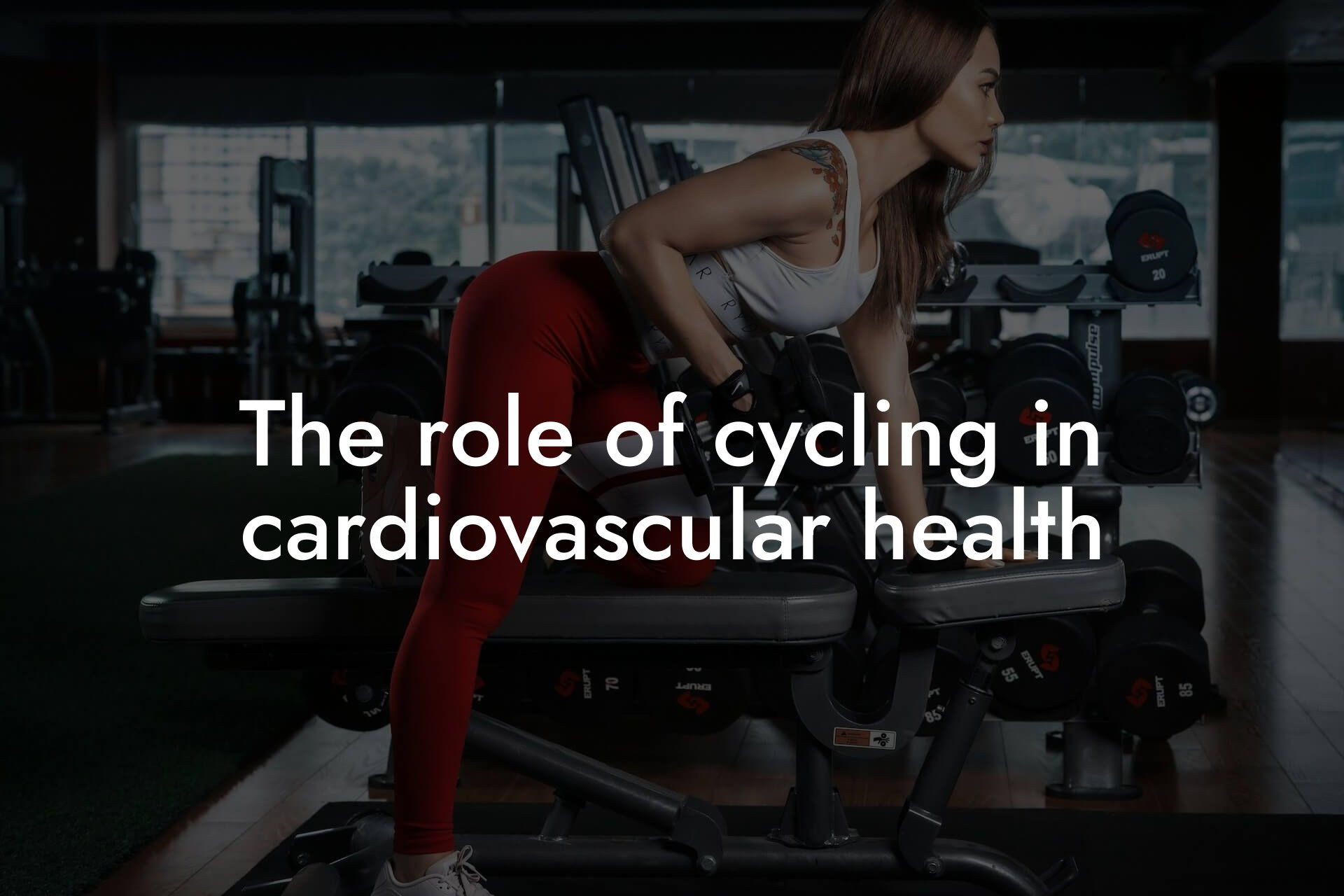 the role of cycling in cardiovascular health tano performance dexa scanners body composition testing