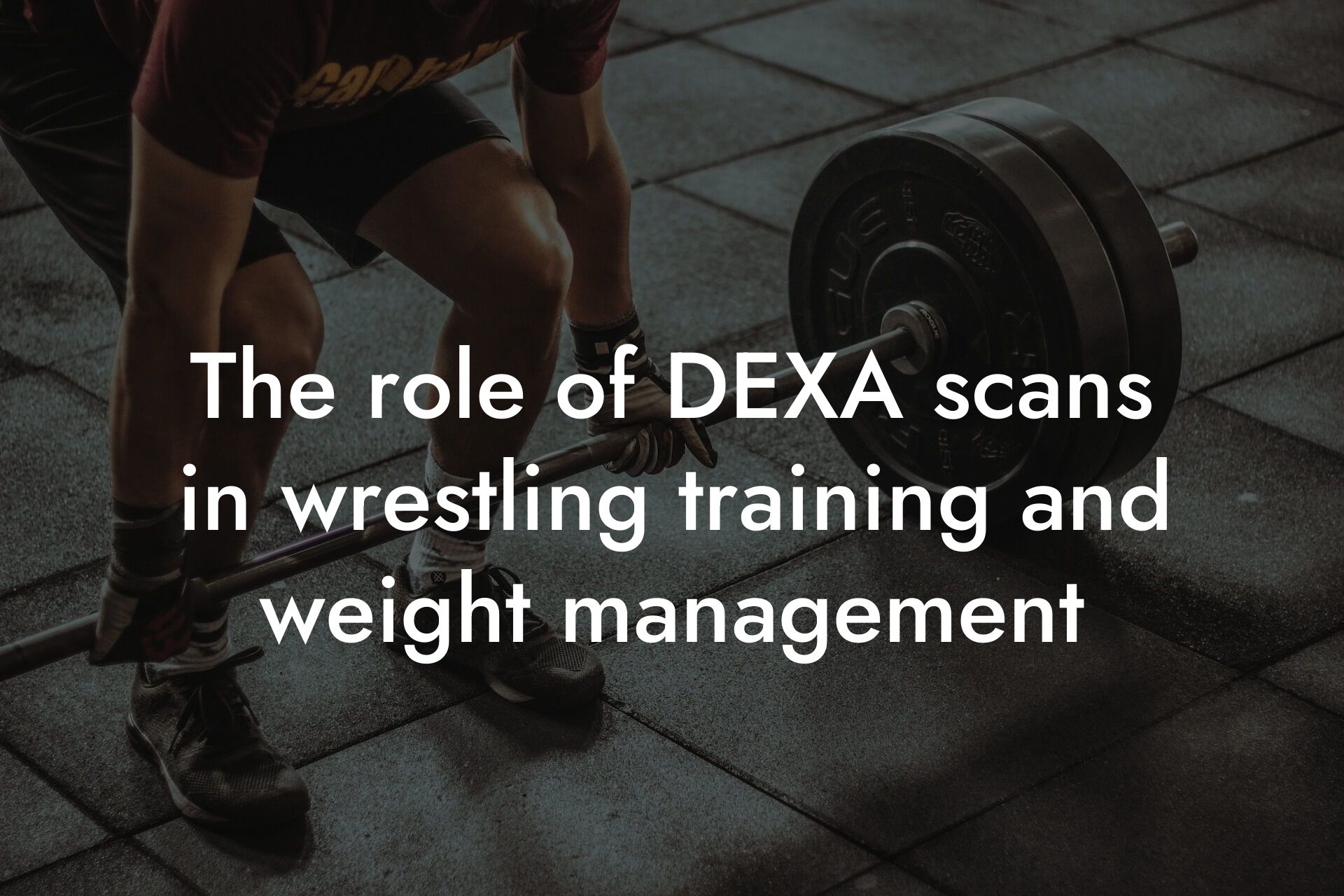 the role of dexa scans in wrestling training and weight management tano performance dexa scanners body composition testing