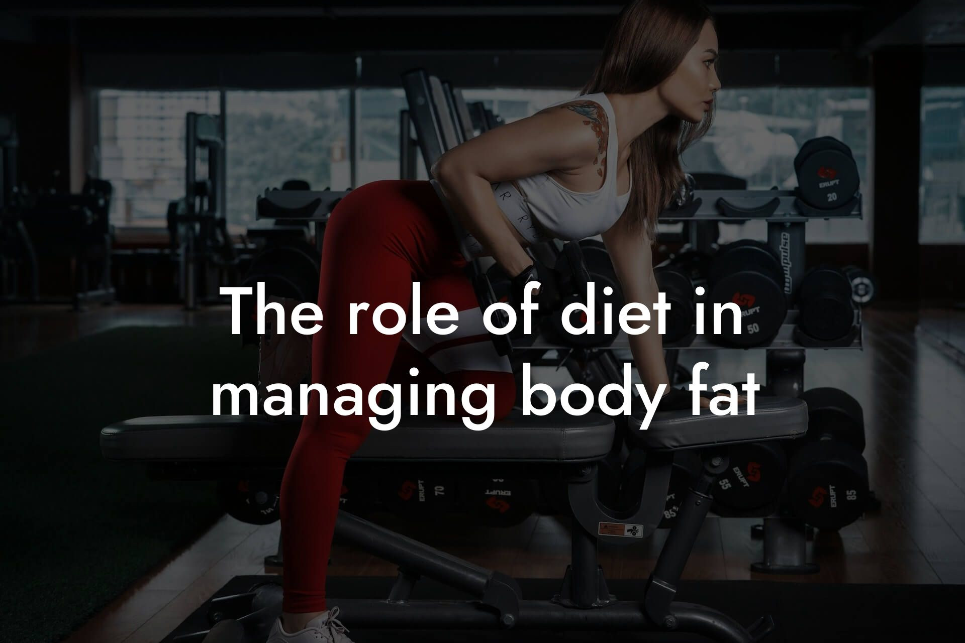 the role of diet in managing body fat tano performance dexa scanners body composition testing