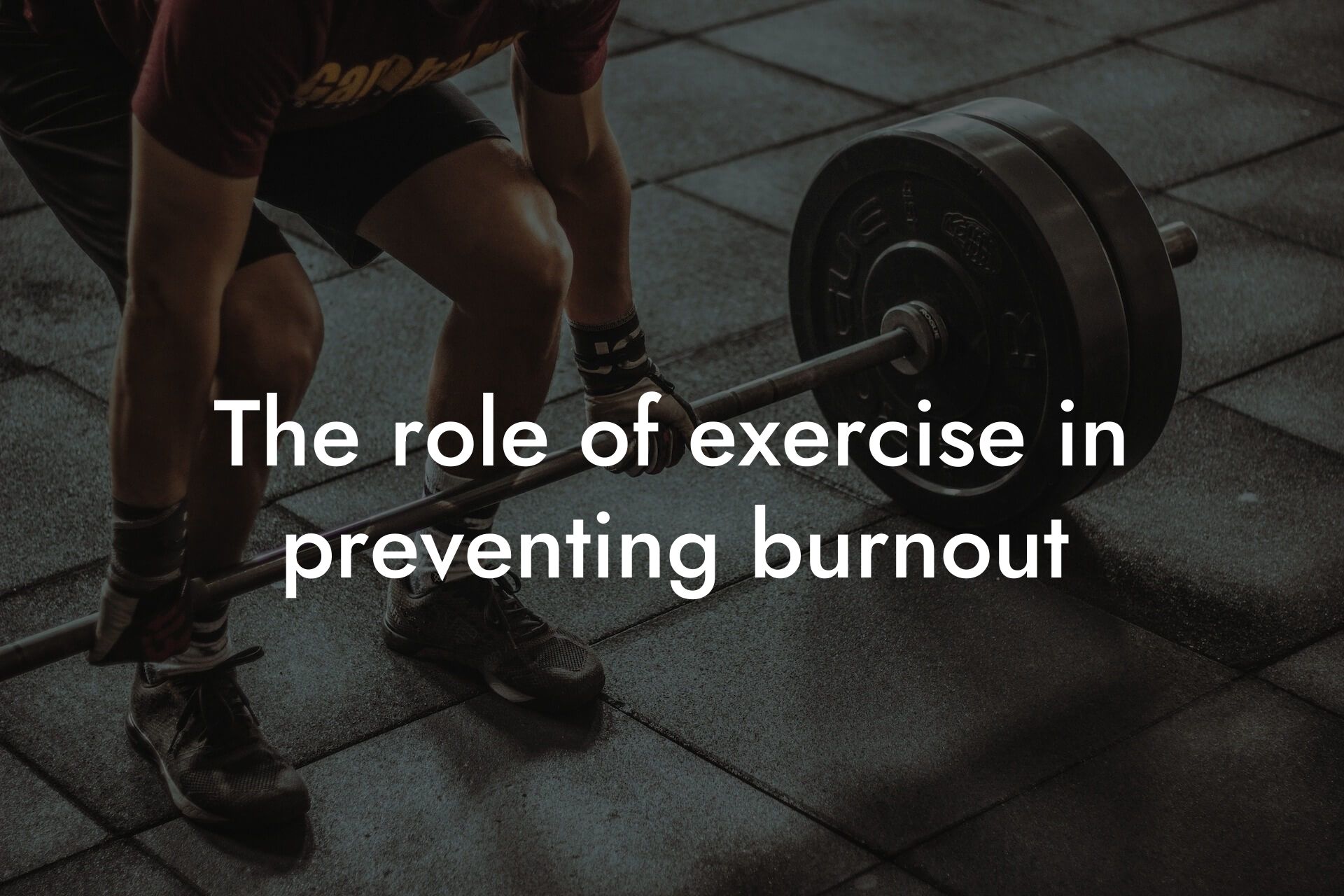 the role of exercise in preventing burnout tano performance dexa scanners body composition testing