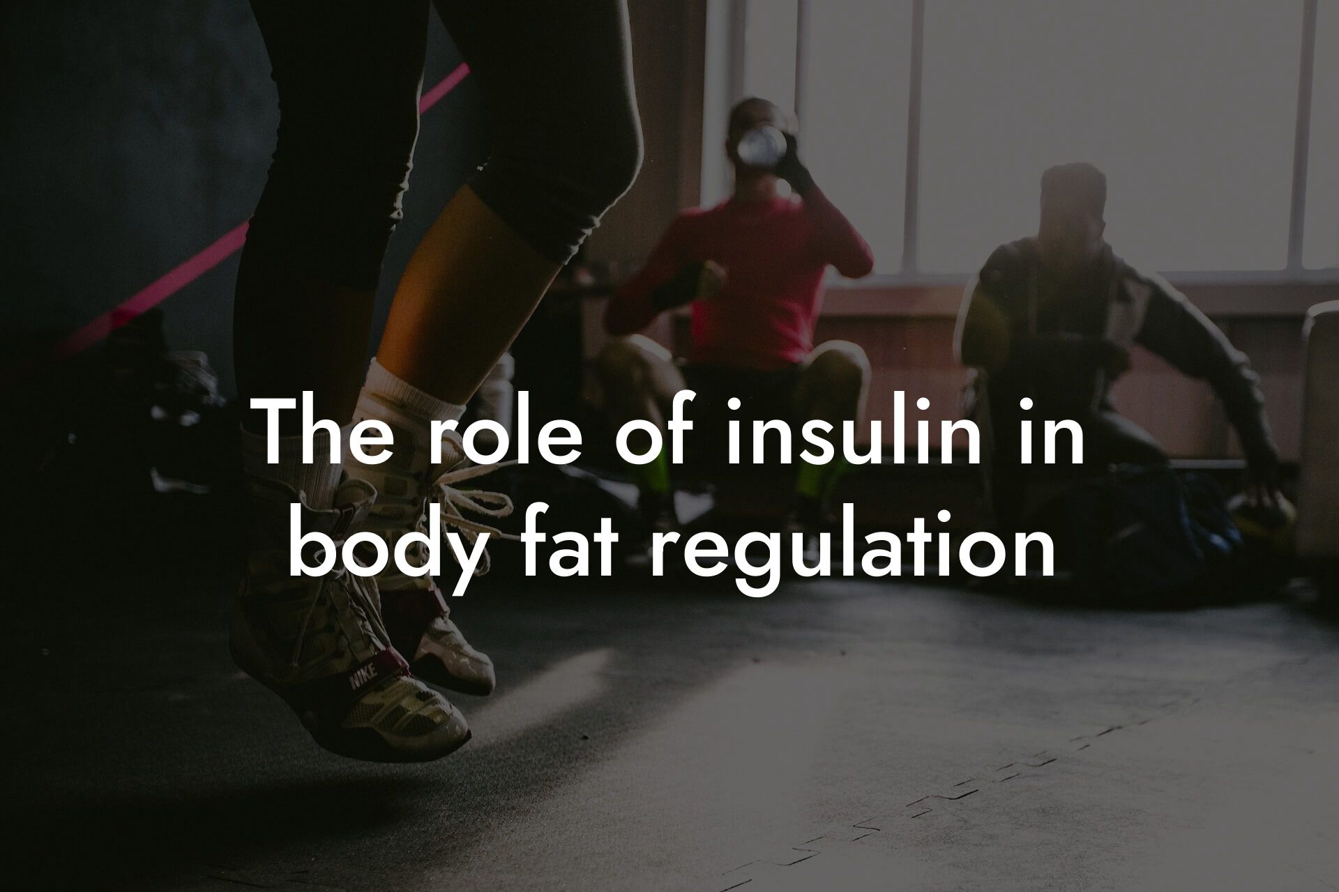 the role of insulin in body fat regulation tano performance dexa scanners body composition testing