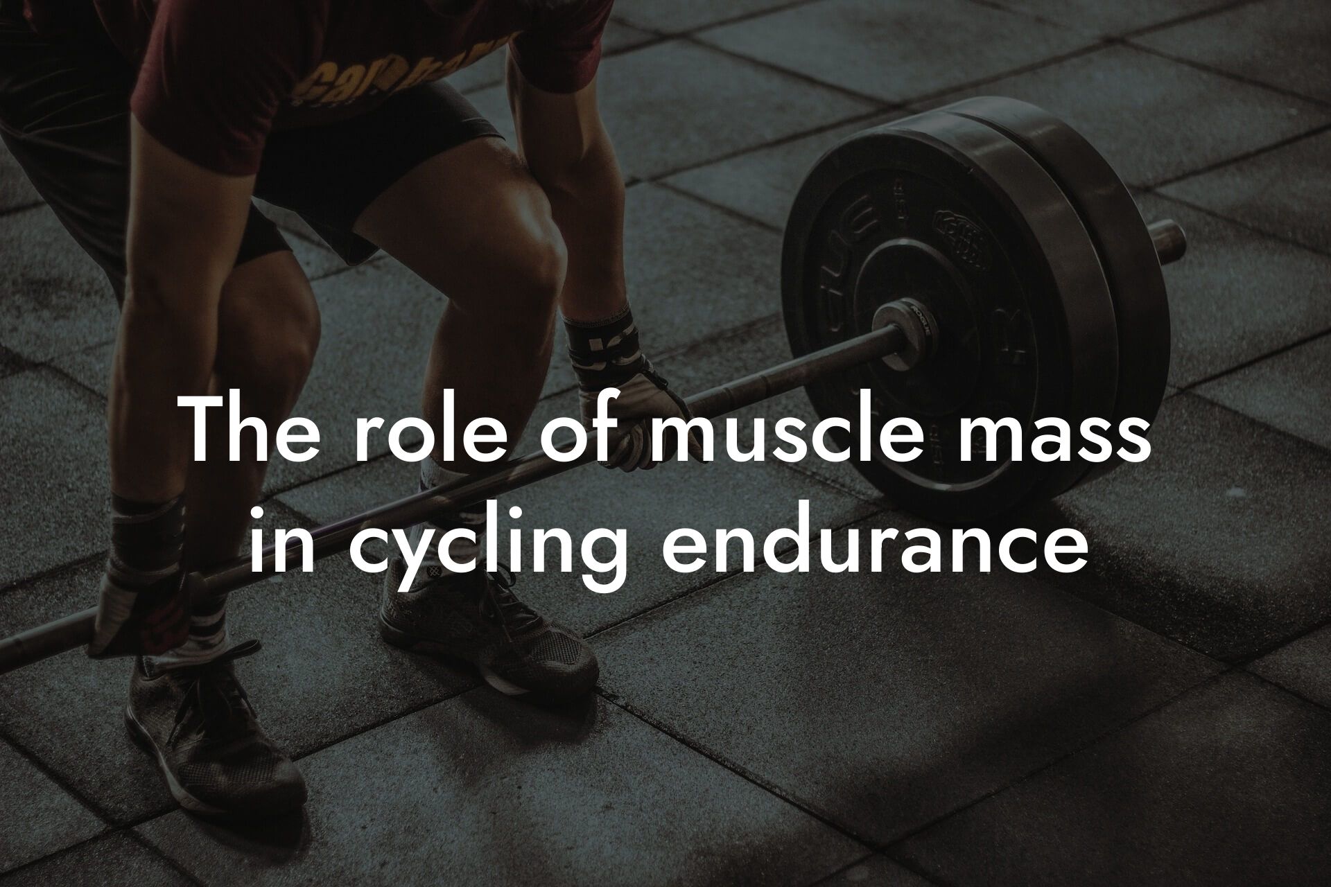 the role of muscle mass in cycling endurance tano performance dexa scanners body composition testing