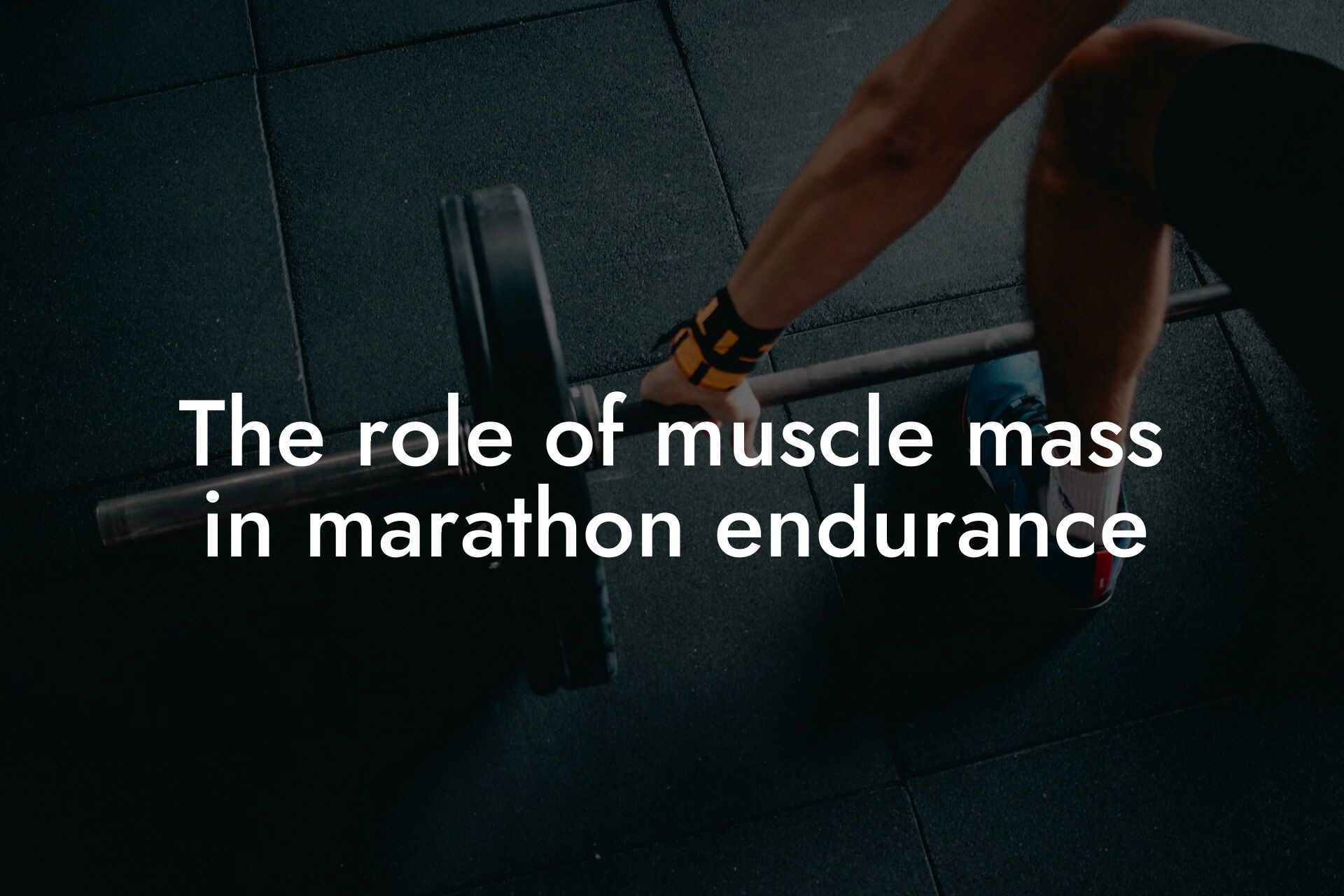 the role of muscle mass in marathon endurance tano performance dexa scanners body composition testing